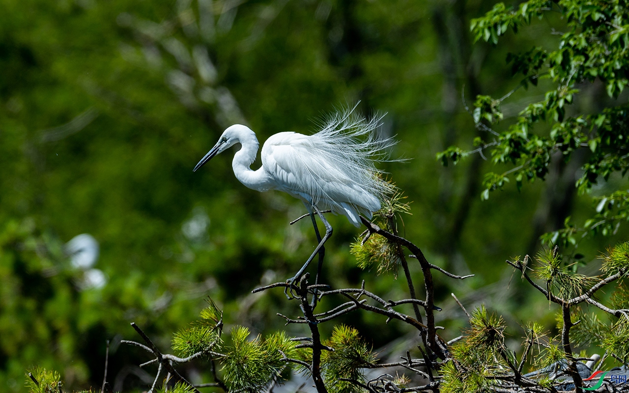 84 ���� 2.jpg