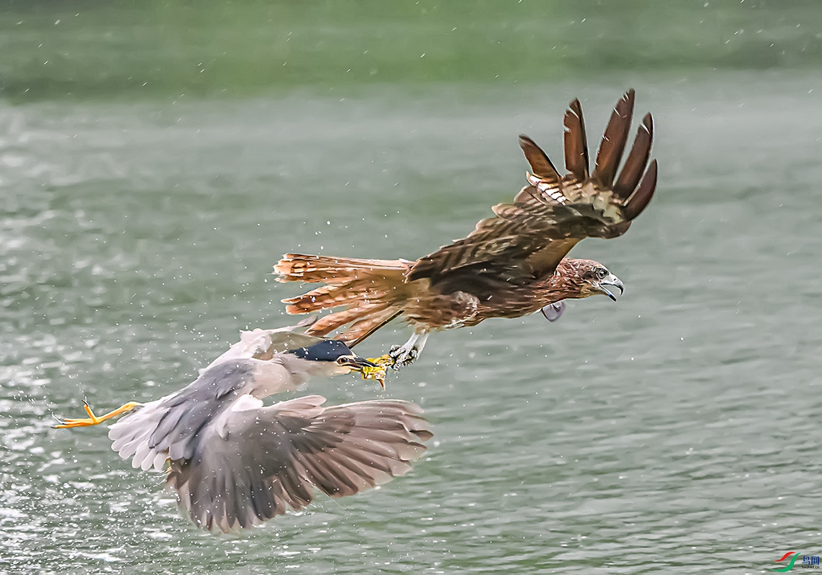7-DSC_7619-9-9.jpg