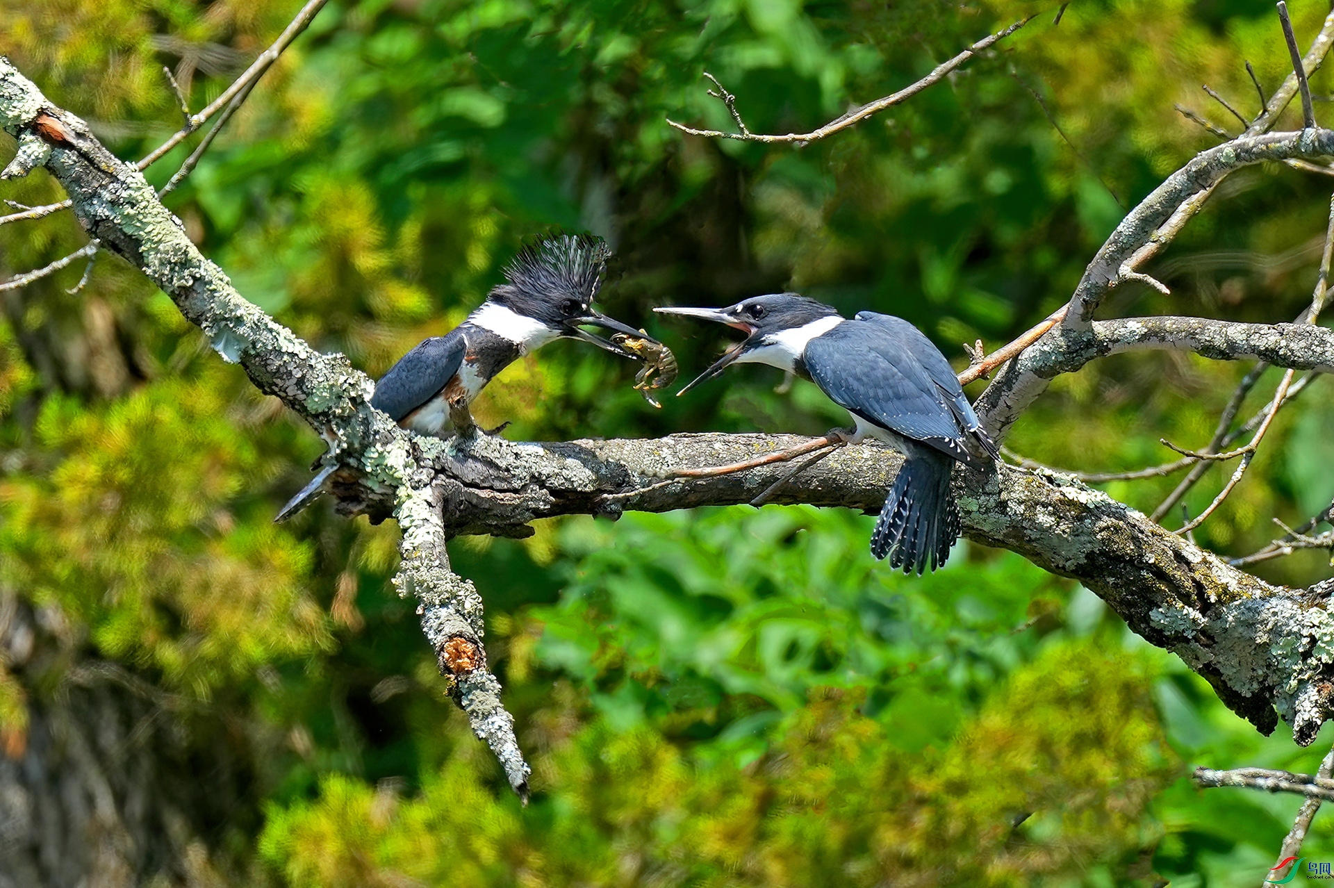 DSC07914--.jpg