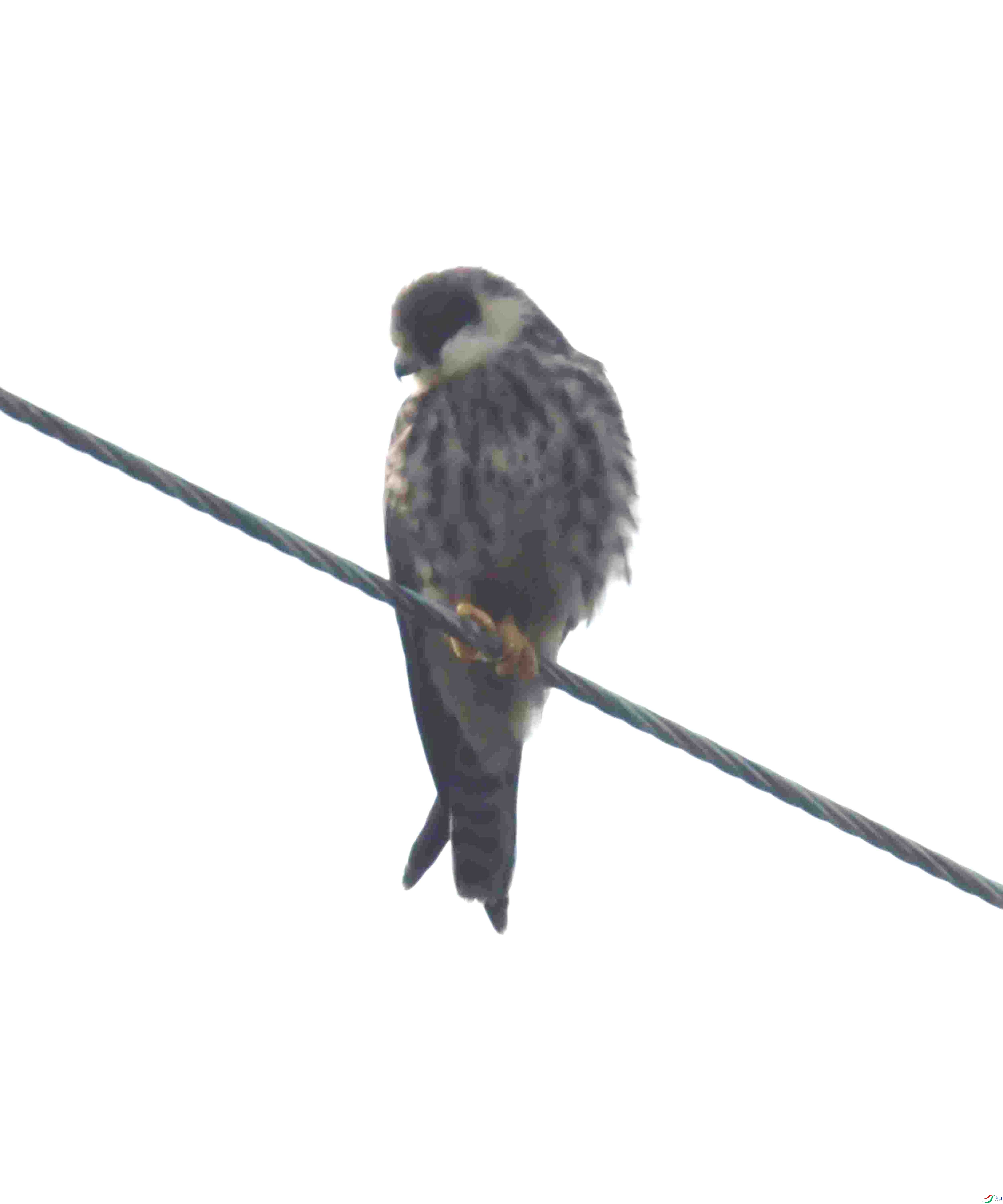 DSC_2254.JPG
