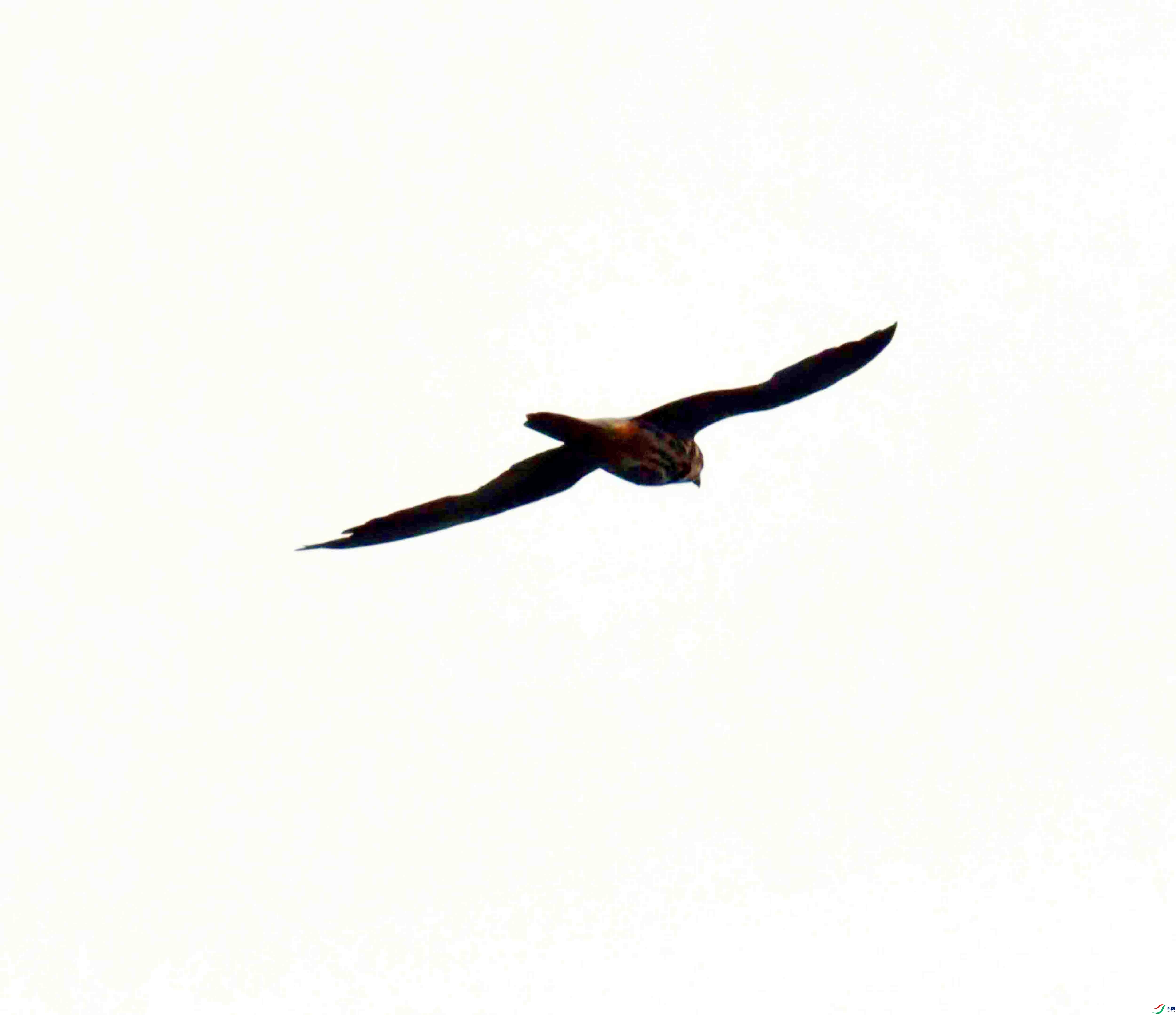 DSC_2682.JPG