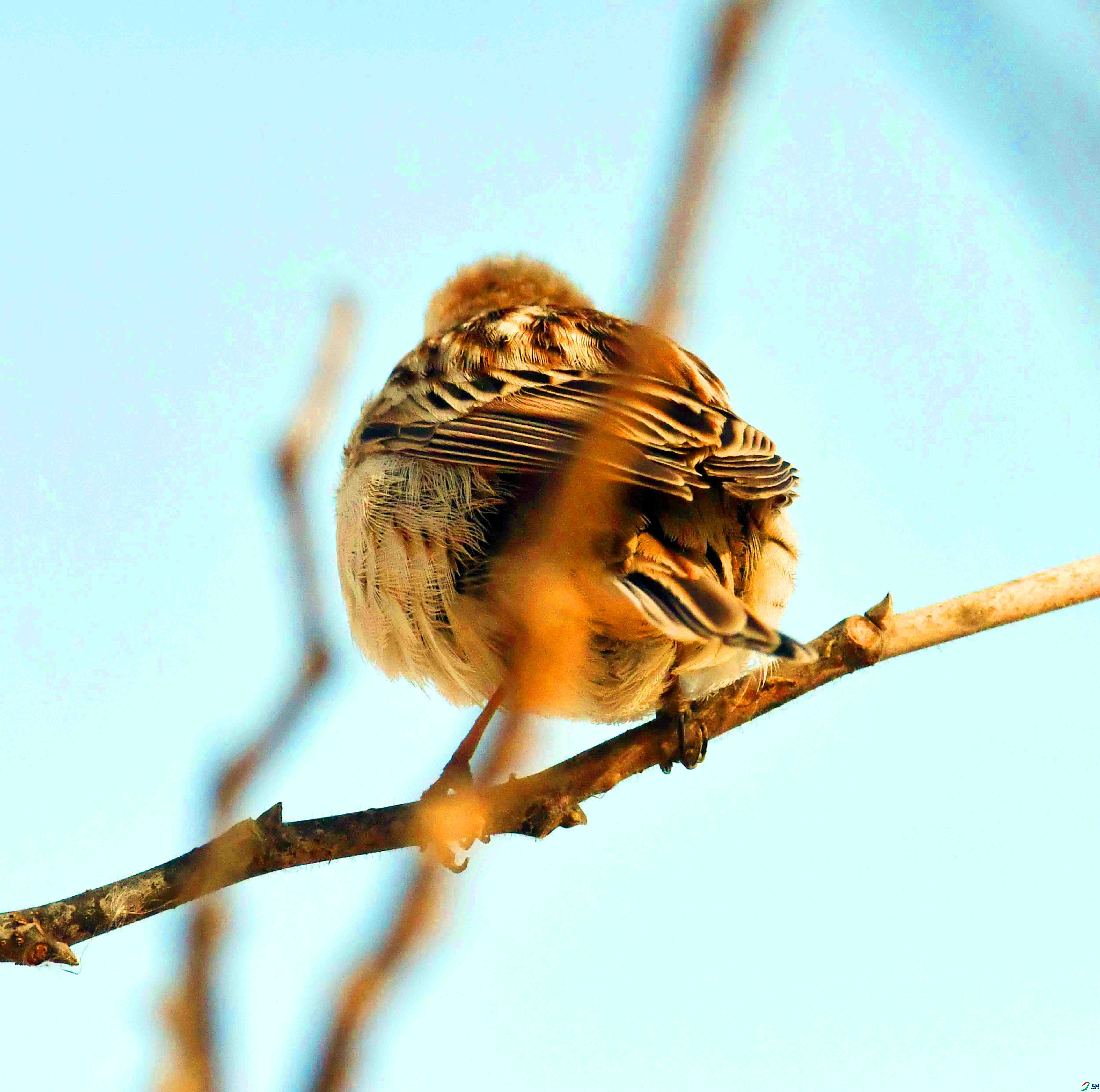 DSC_4647.JPG