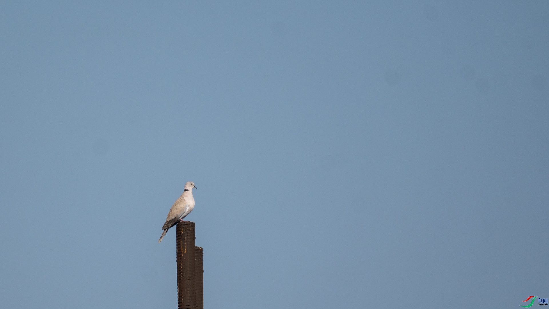 _DSC8271.jpg