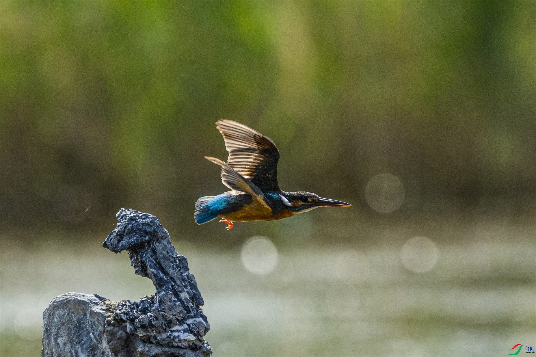 1K3A8051 ����1.jpg