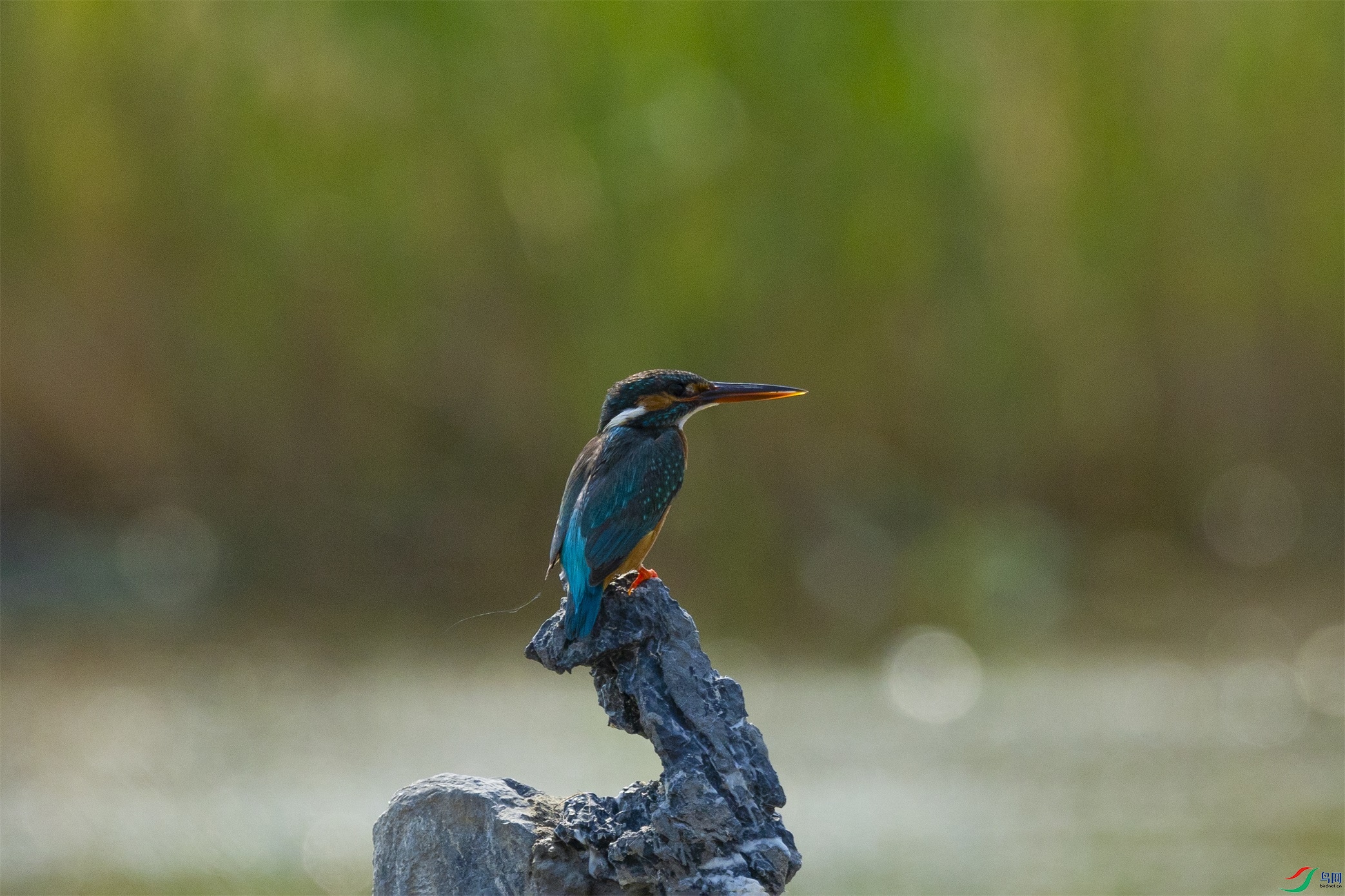 1K3A8050 ����1.jpg