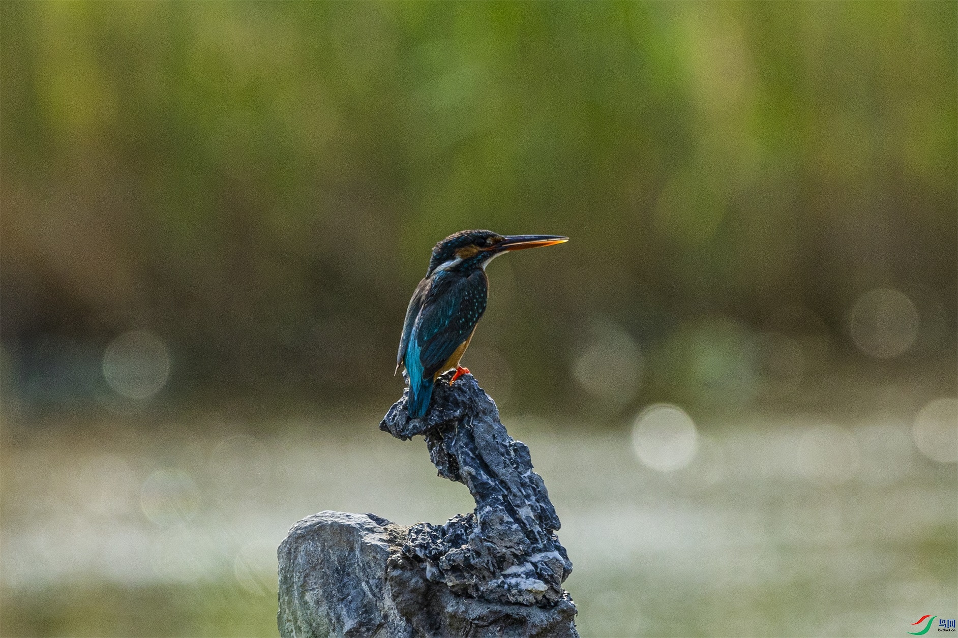 1K3A8035 ����1.jpg