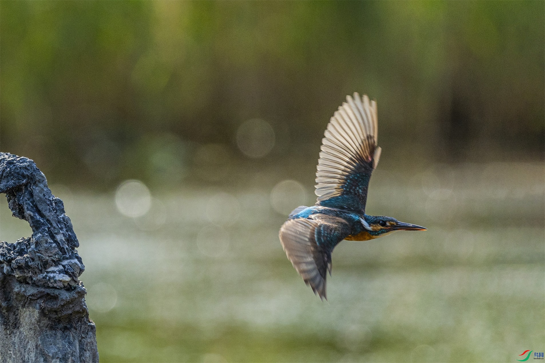 1K3A8053 ����1.jpg