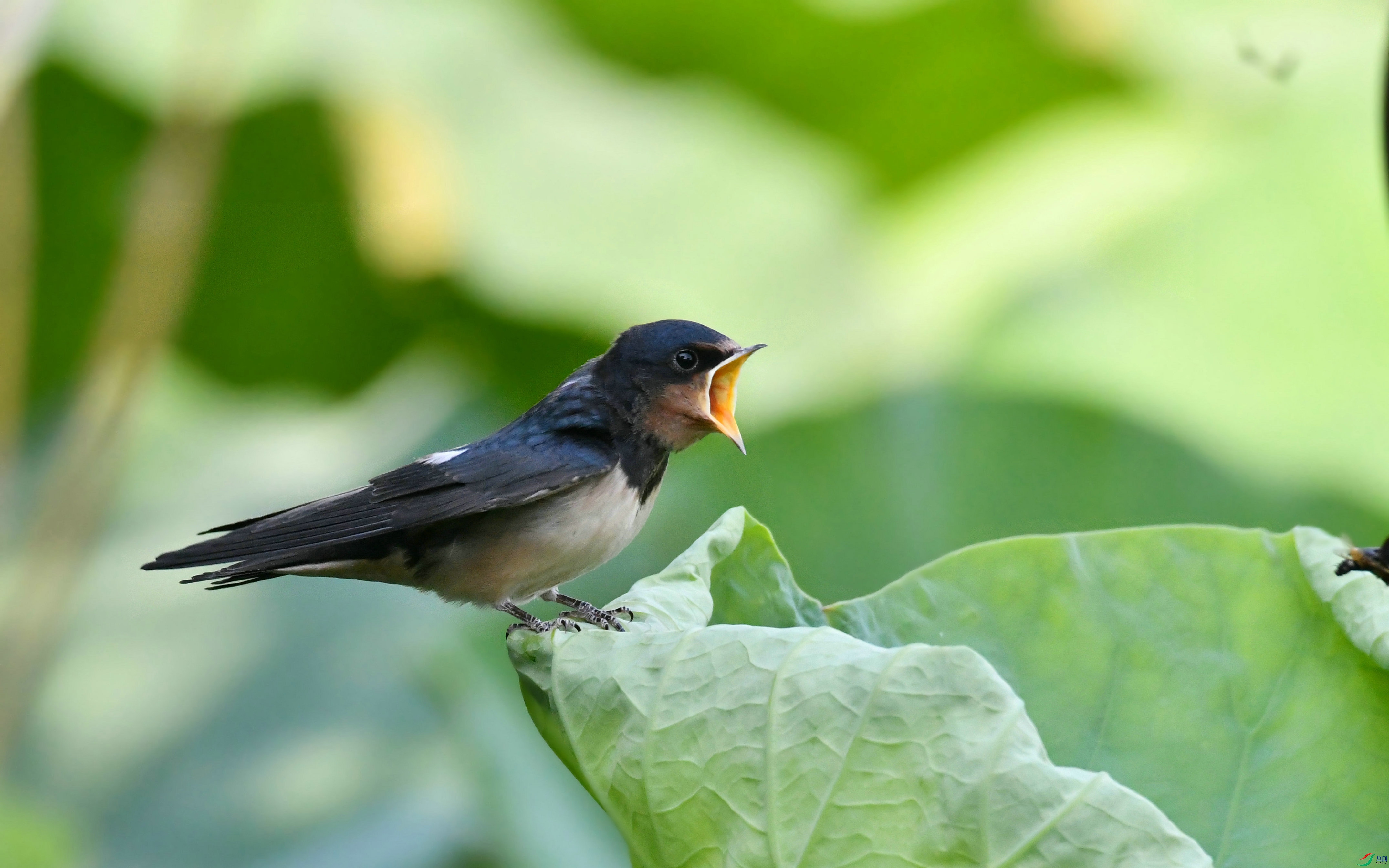DSC_3719.JPG