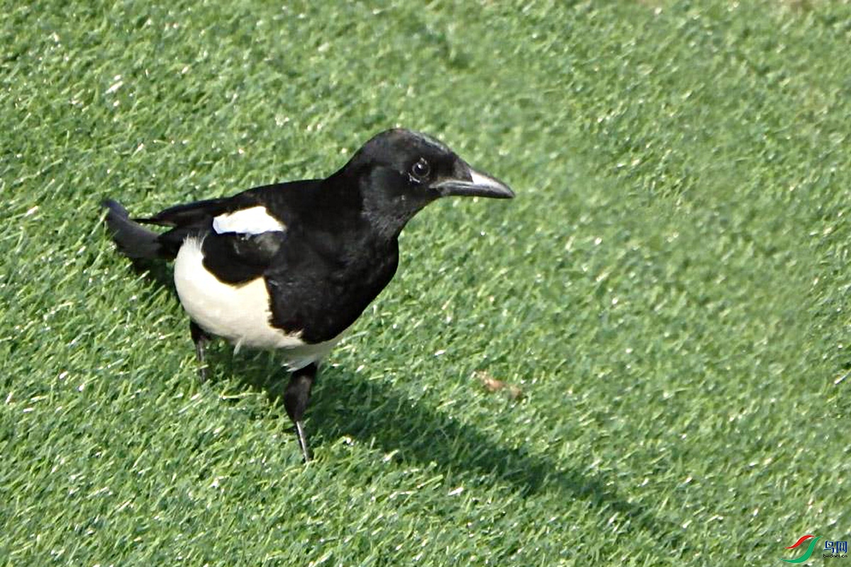 IMG_6512.jpg