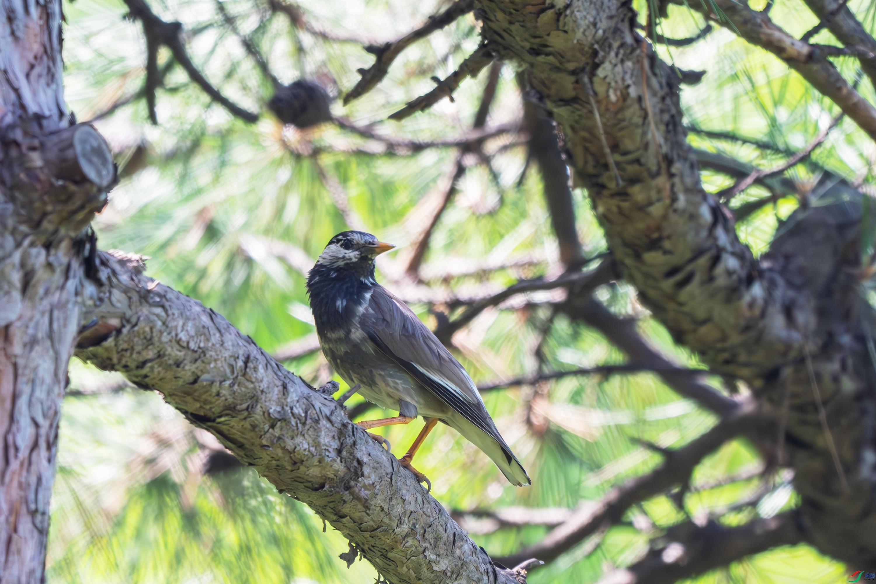 DSC_7458.jpg