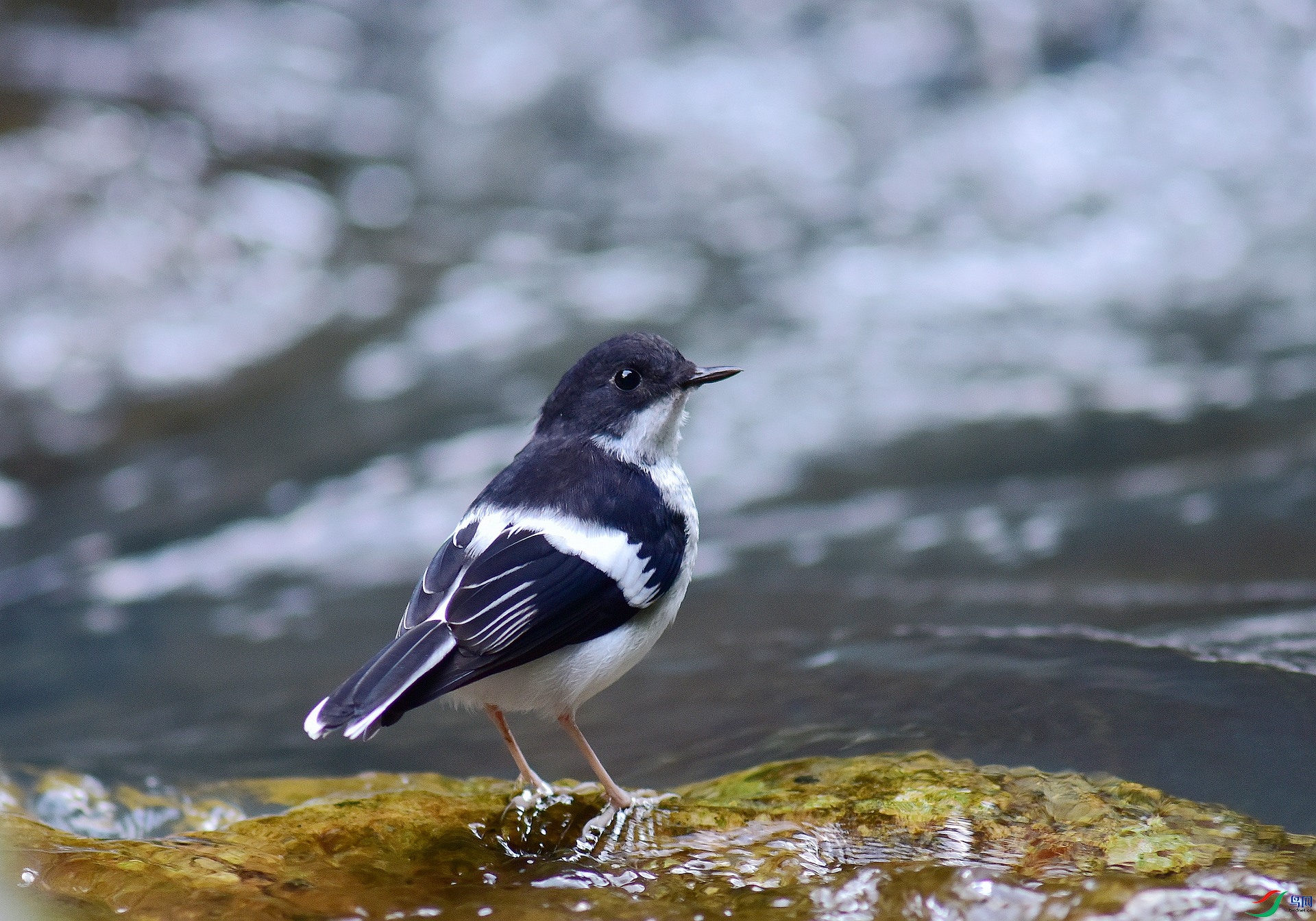 D8I_6005.jpg