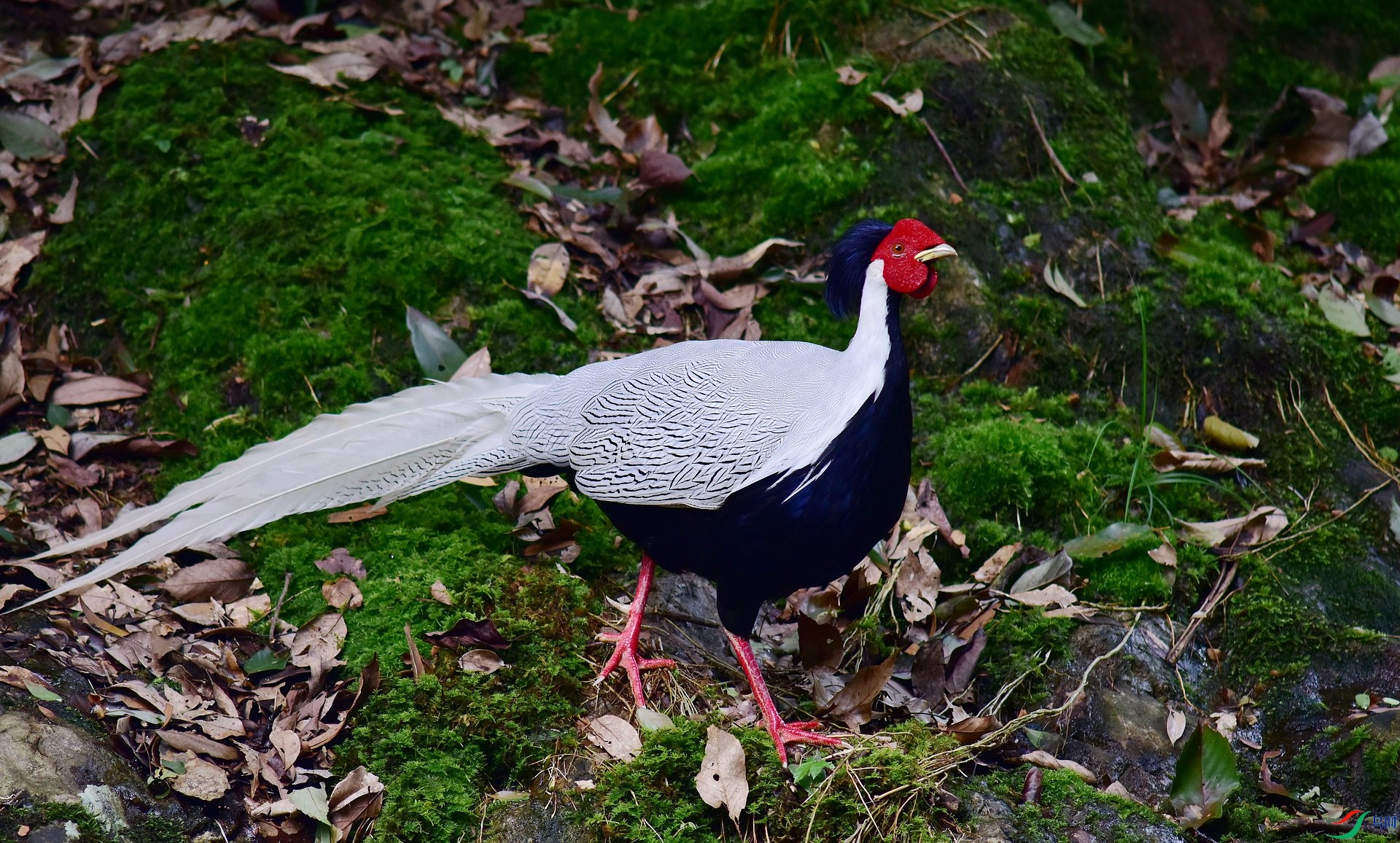 D8I_6092.jpg