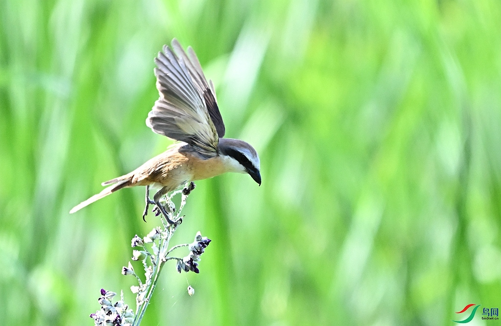 DSC_0633.JPG