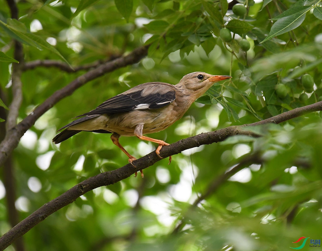 DSC_4075.jpg