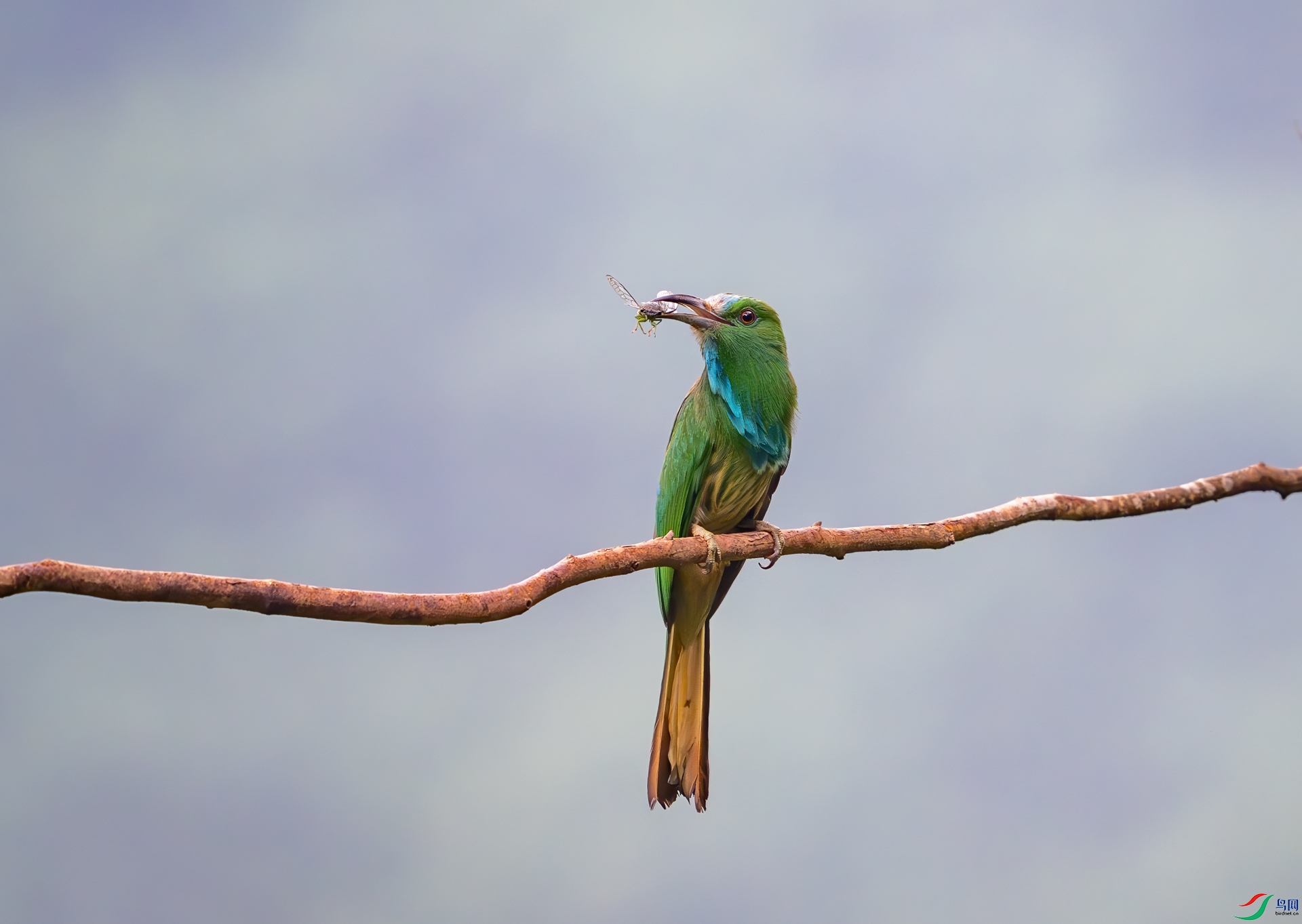 DSC_1616.jpg