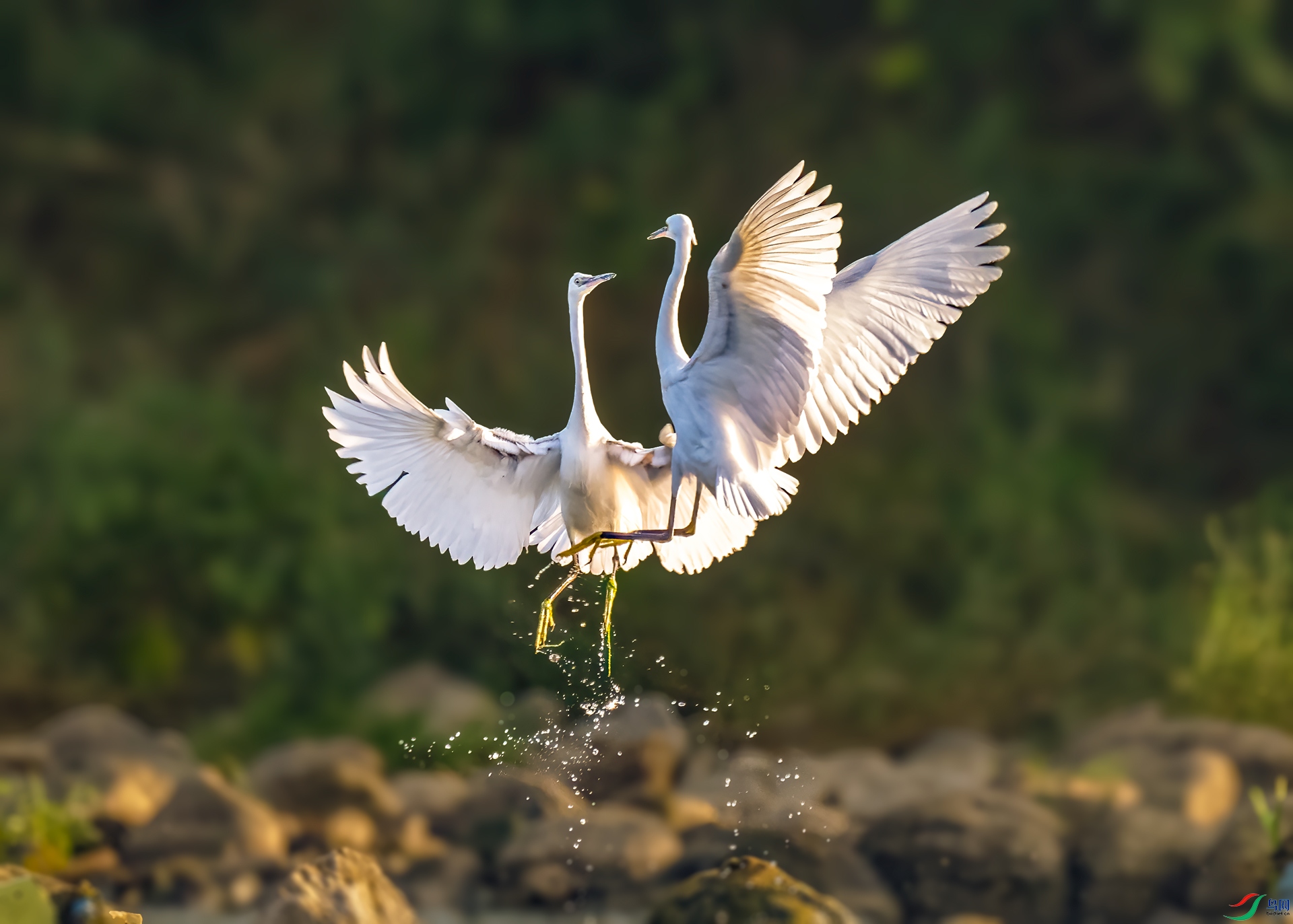 DSC_2779.jpg