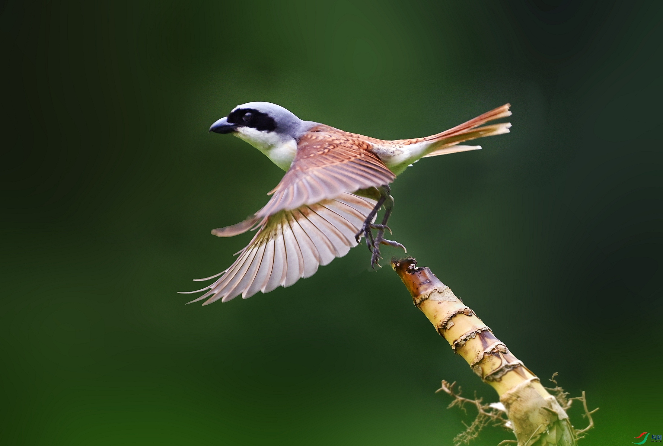 DSC_3330_����p_����p.jpg
