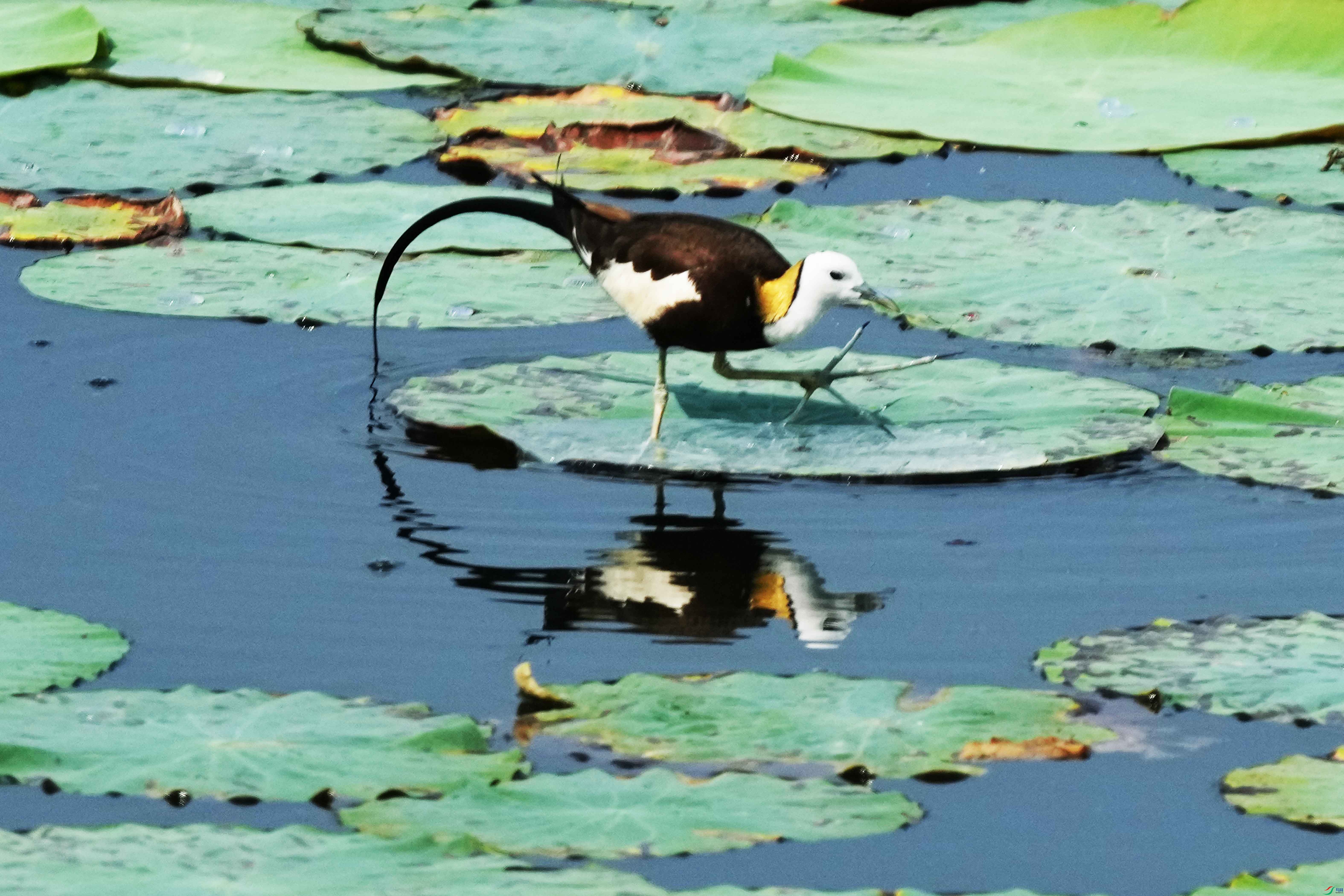 021DSC00435 ����.jpg