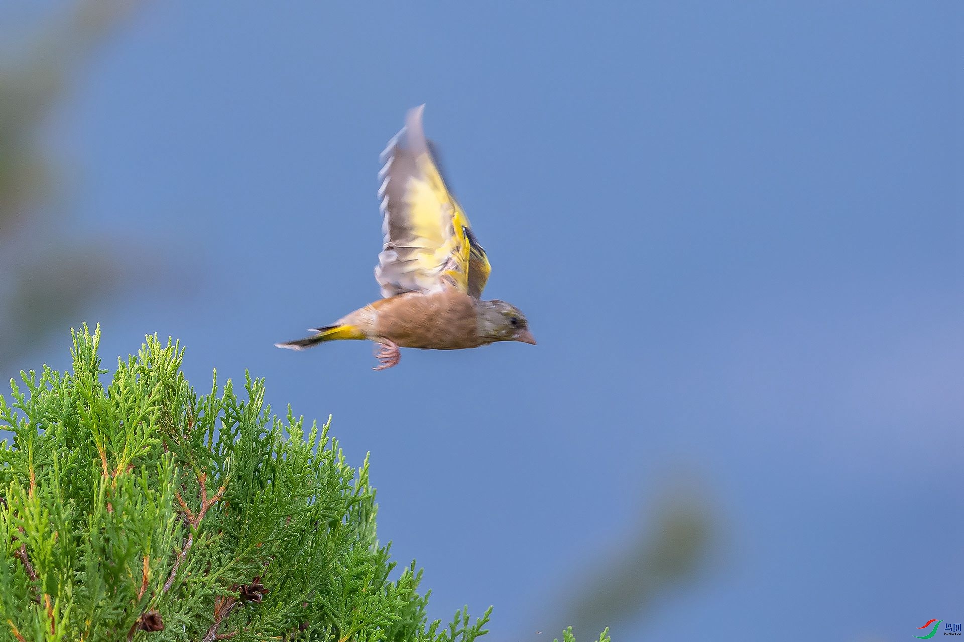 DSC_1237.jpg