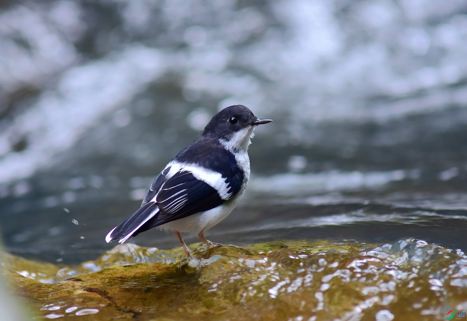 D8I_6007.jpg