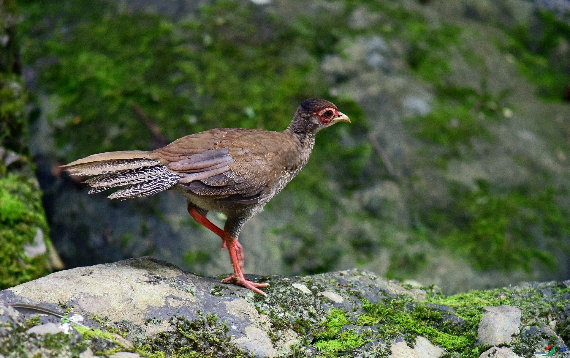 D8I_5929.jpg
