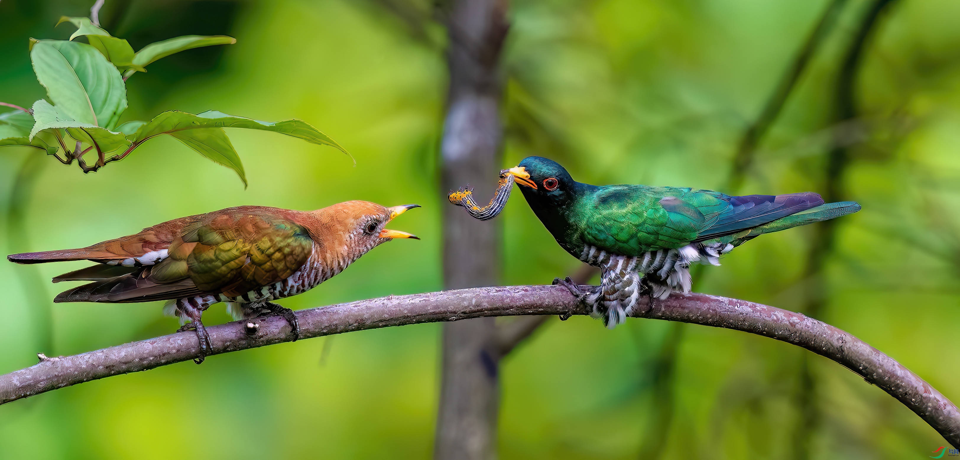 _DSC9446-����ǿ-NR_10 - ����.jpg