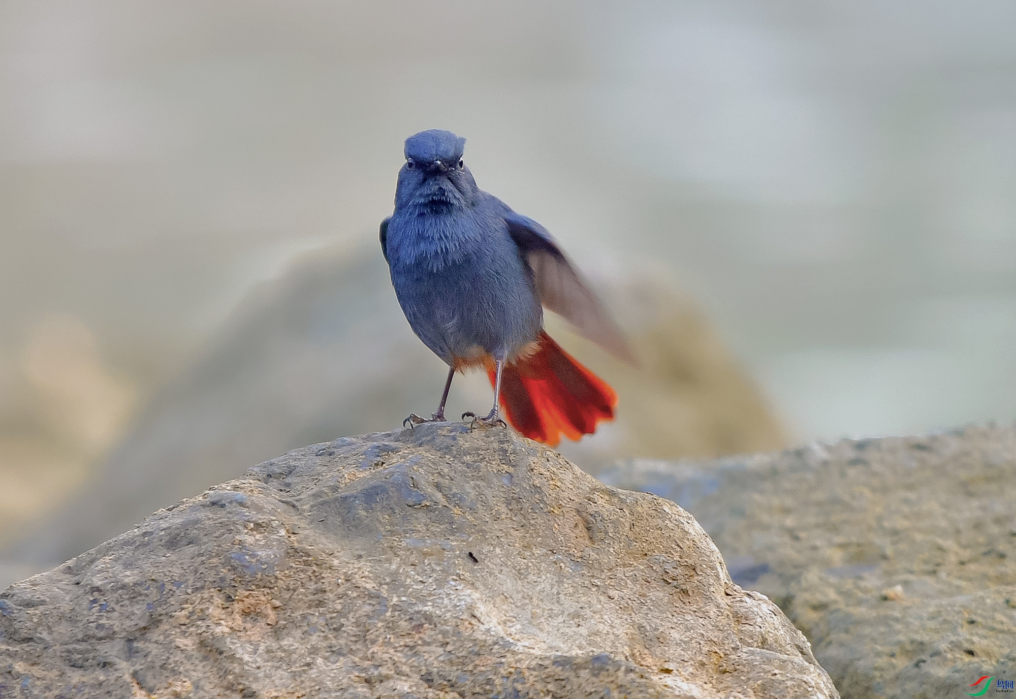 DSC_5673.JPG