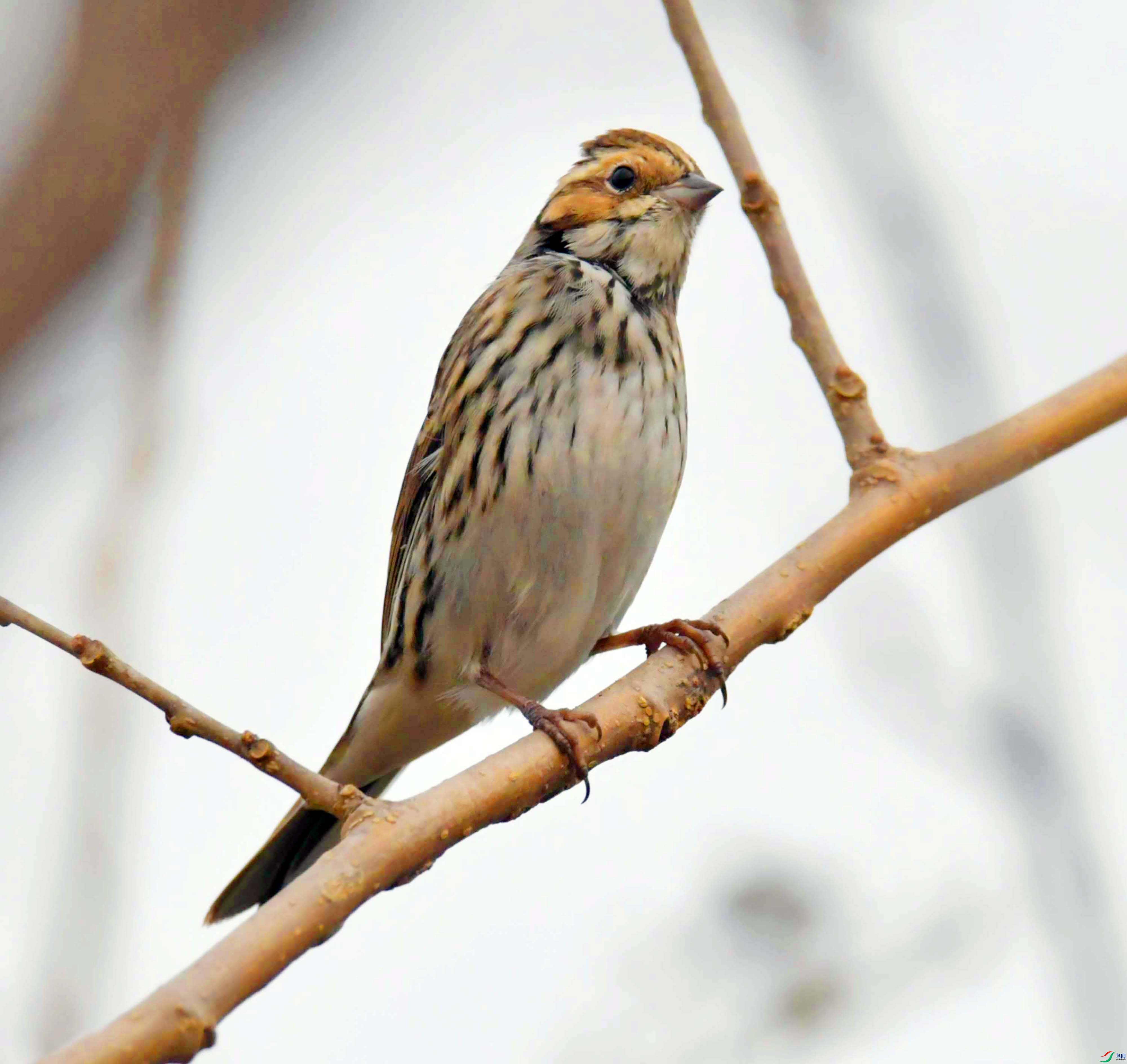 DSC_3682.JPG