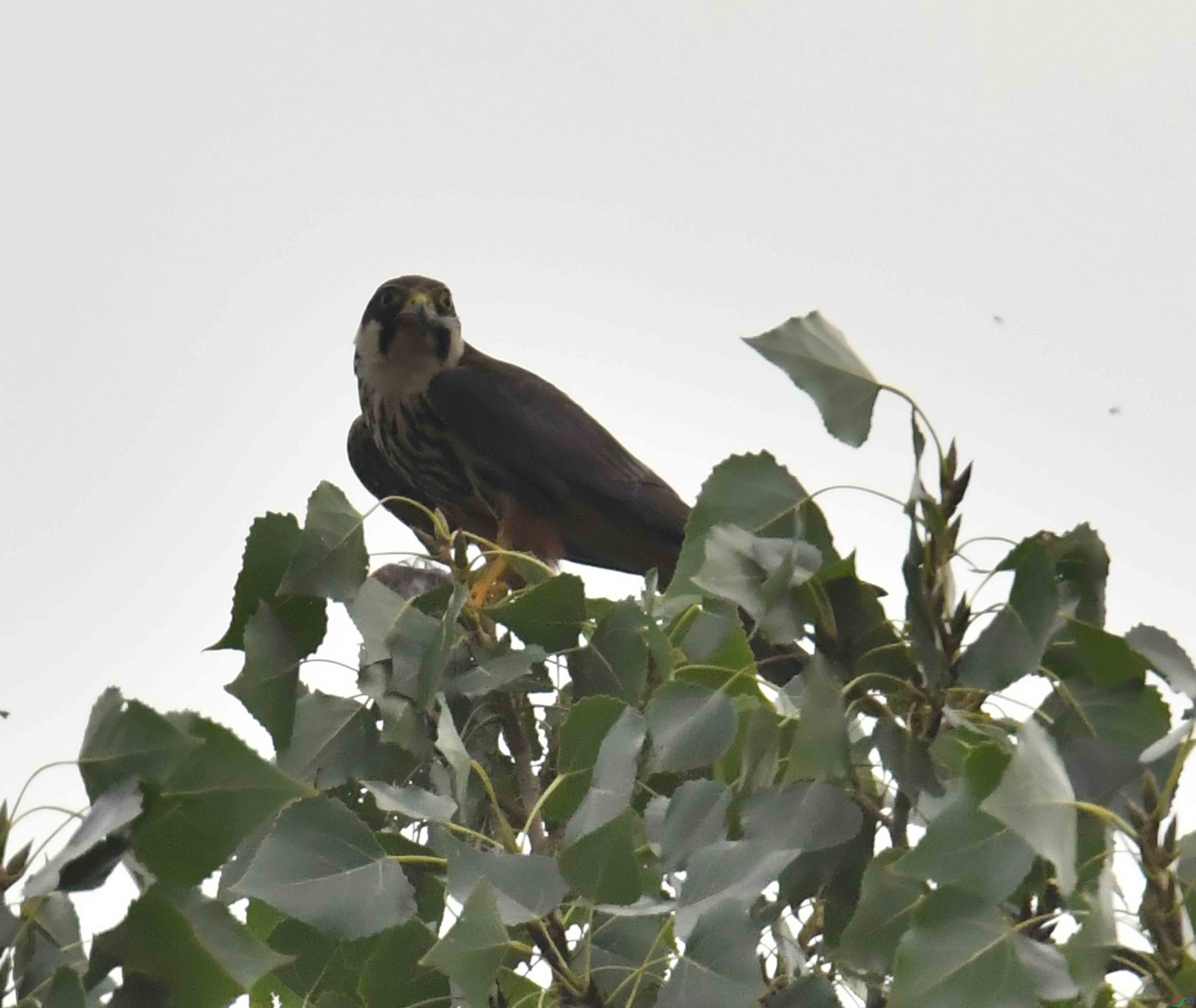 DSC_5360.JPG