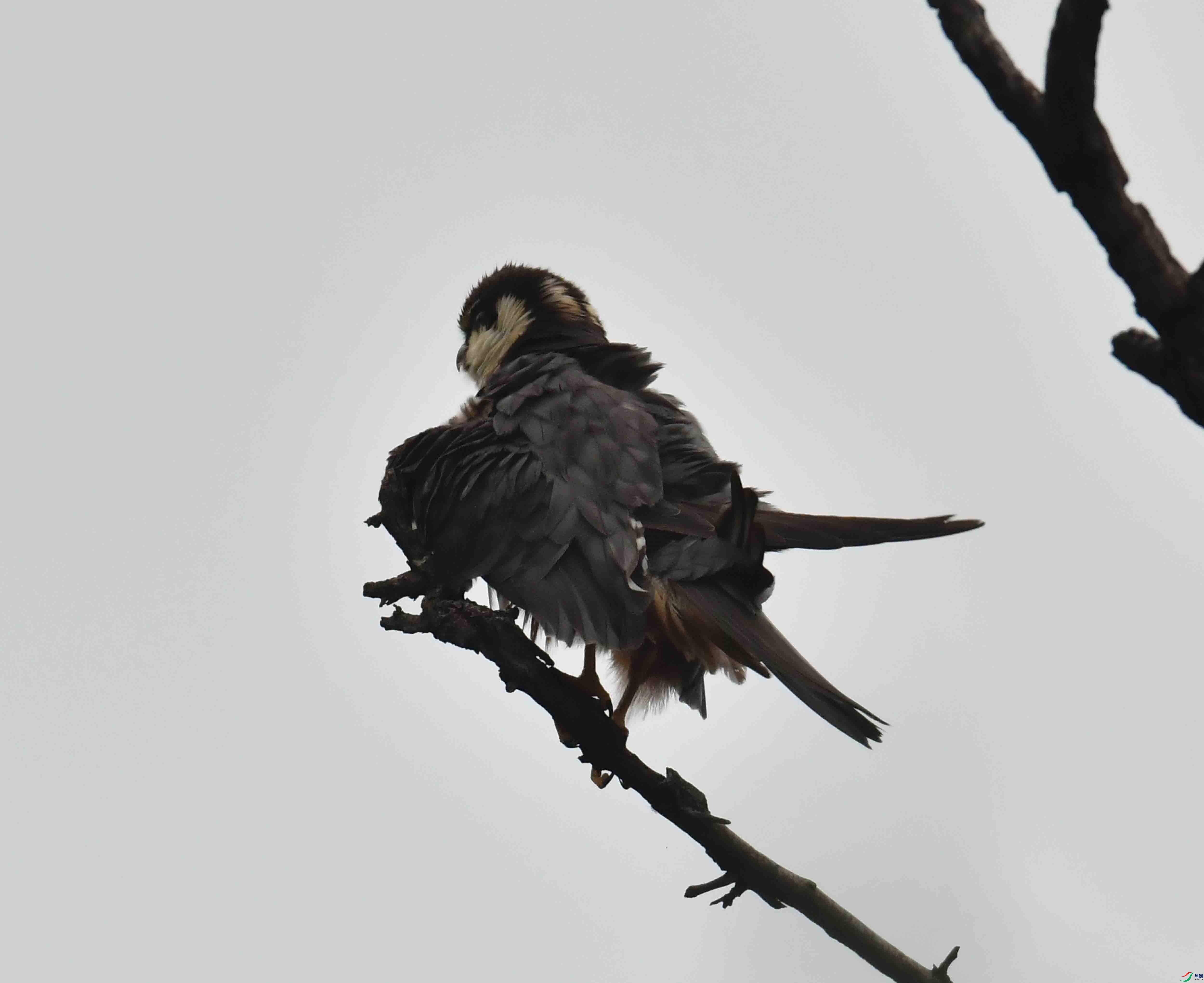 DSC_5416.JPG
