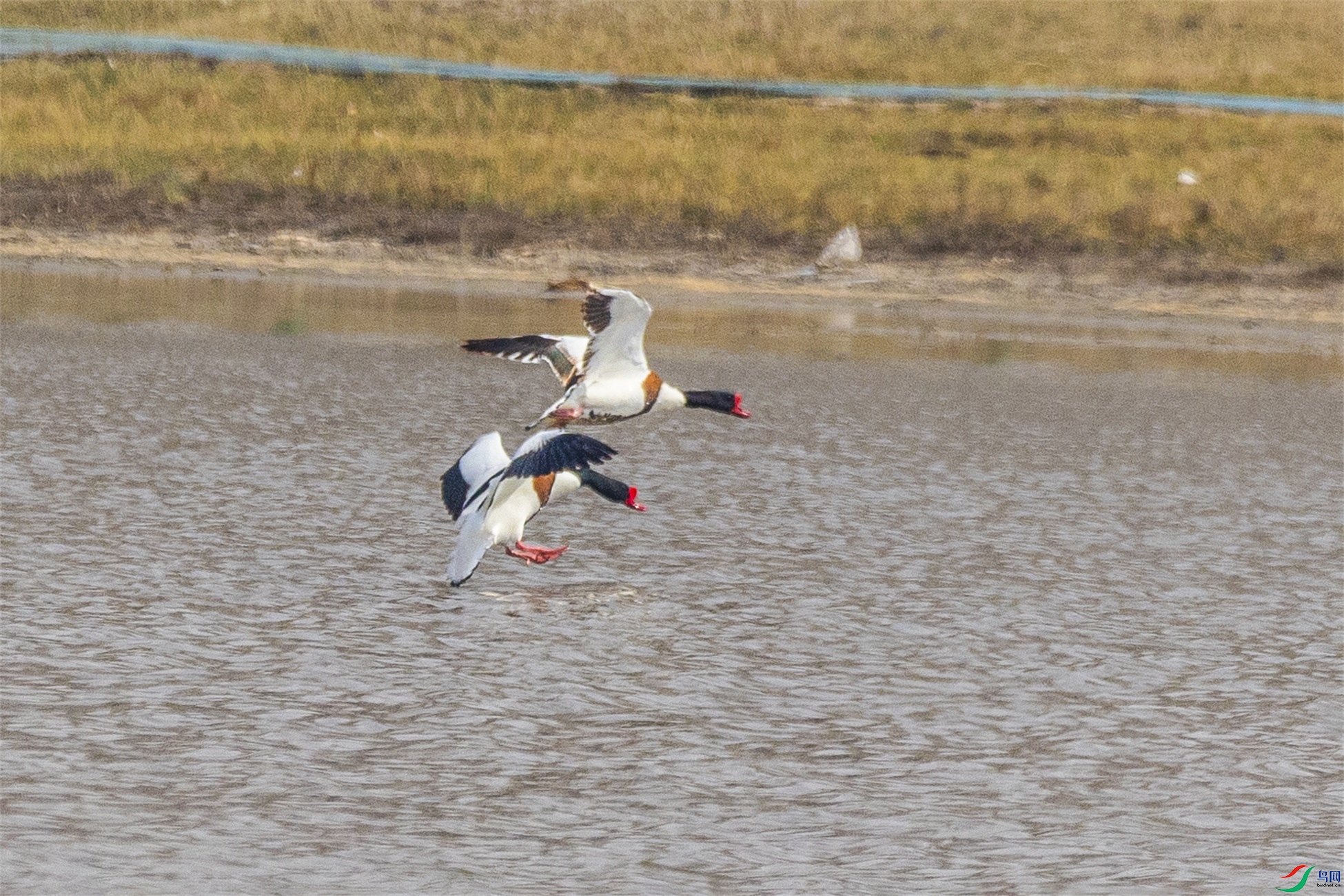 1K3A6466 ����1.jpg