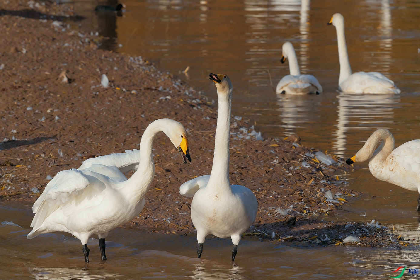 DSC_3169_DxOa.jpg