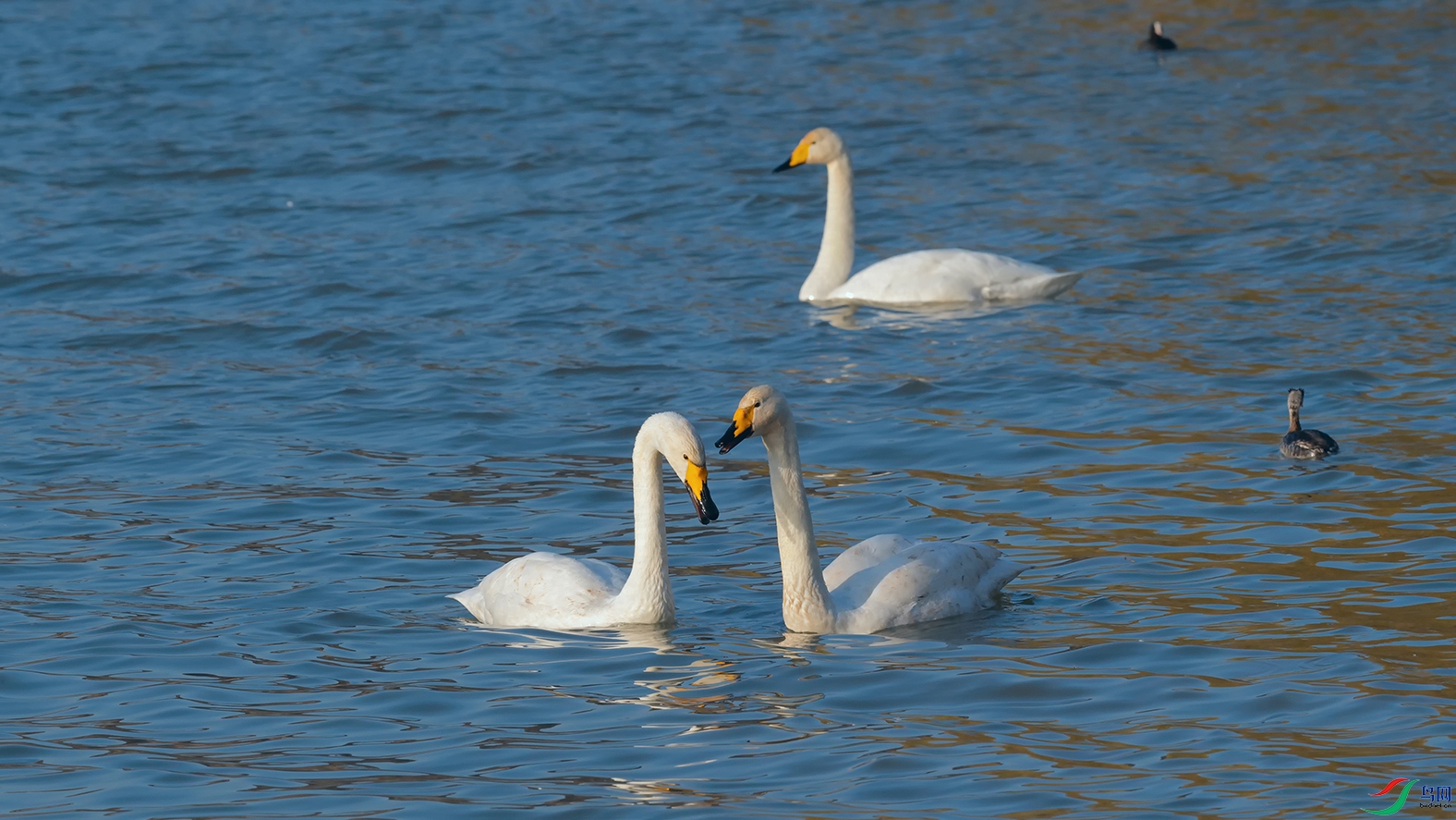 1DSC_3148_DxOa.jpg