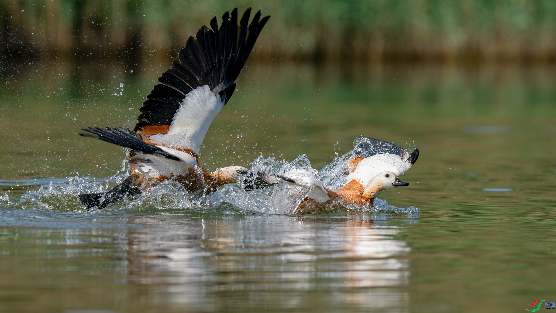 �Ӵ� ���� �������� ����.jpg