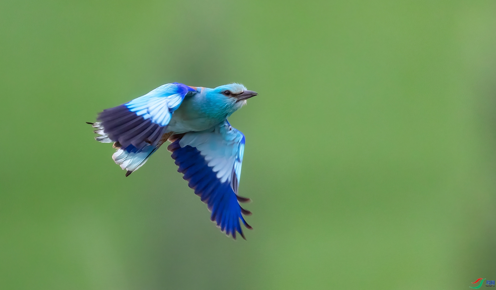 ���ط�ɮ  ���� �ܷ� ����.jpg