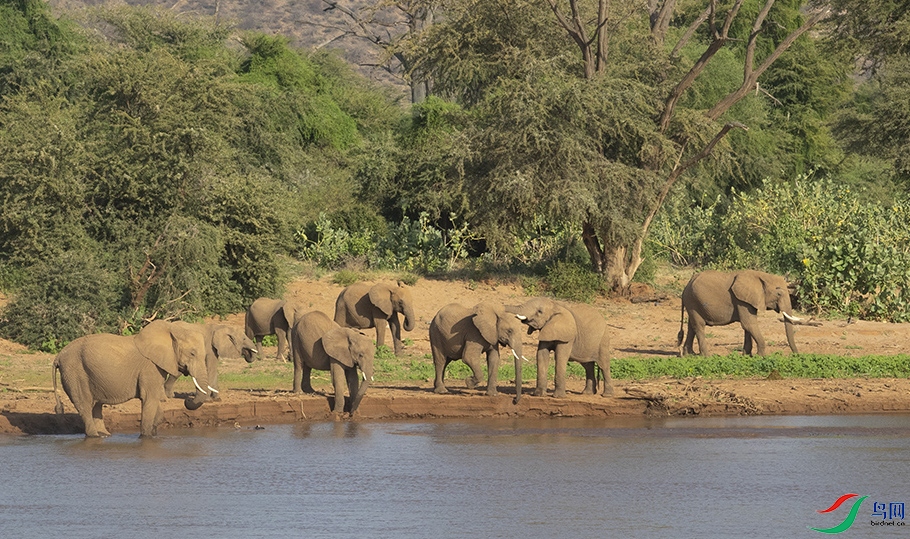 ���޴��� (4).jpg