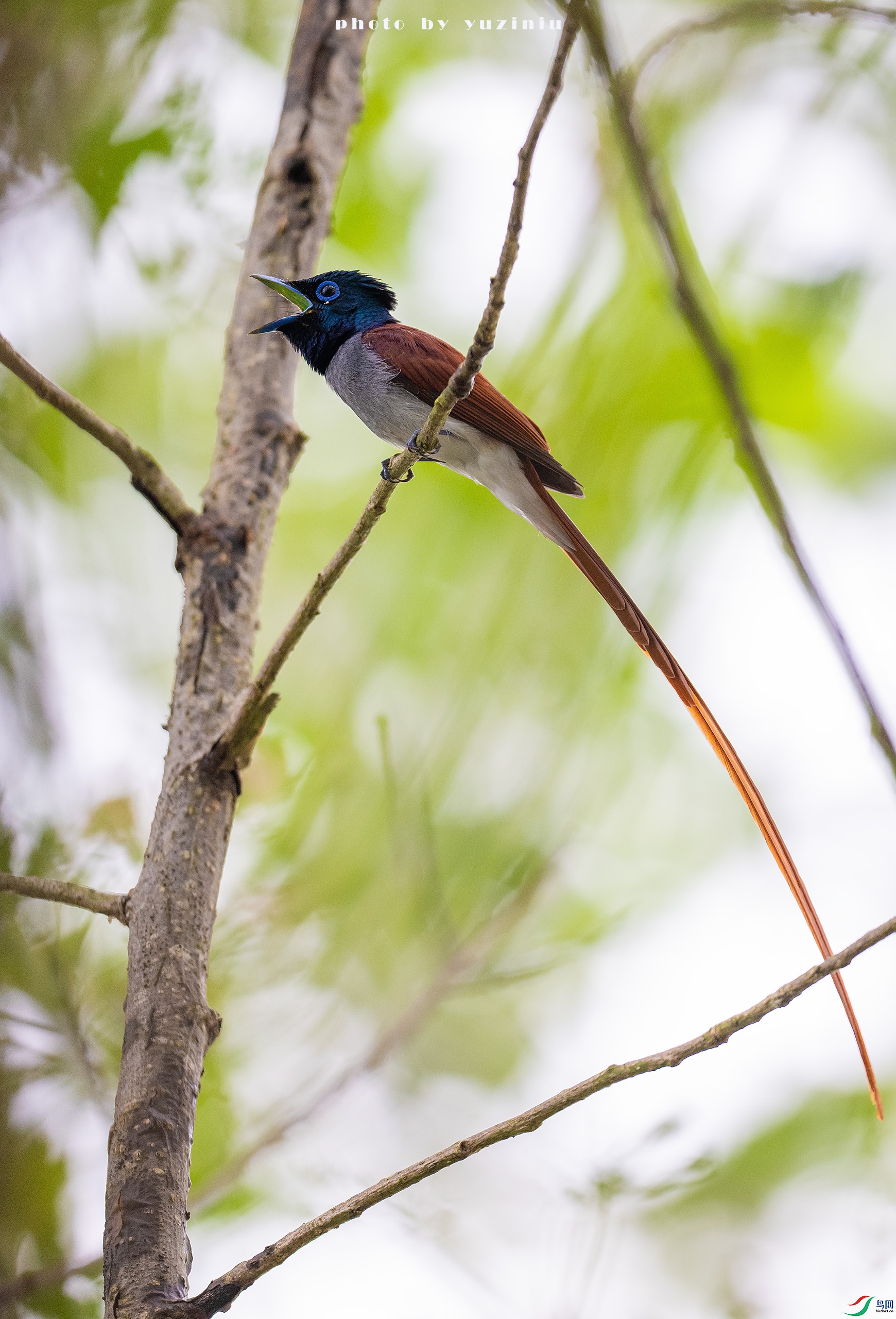 DSC_5894.jpg