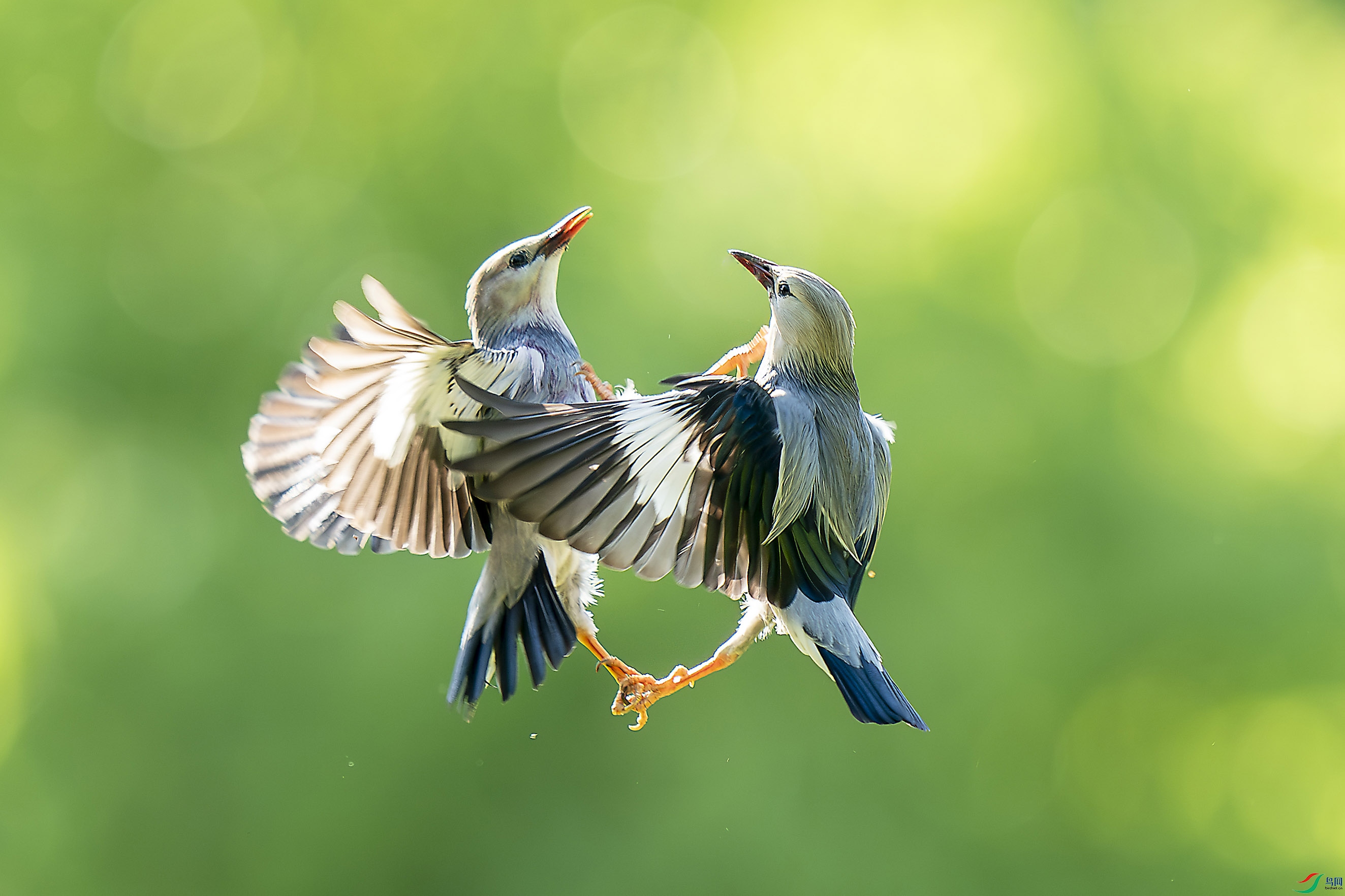 ΢��ͼƬ_20240624095854 ��������.jpg