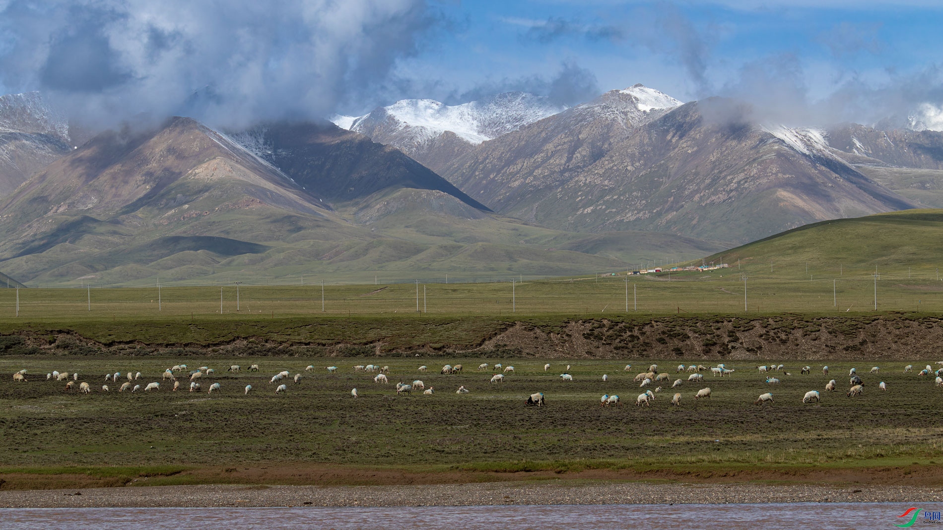 _00A7974-CR2_DxO_DeepPRIMEXD-1.jpg