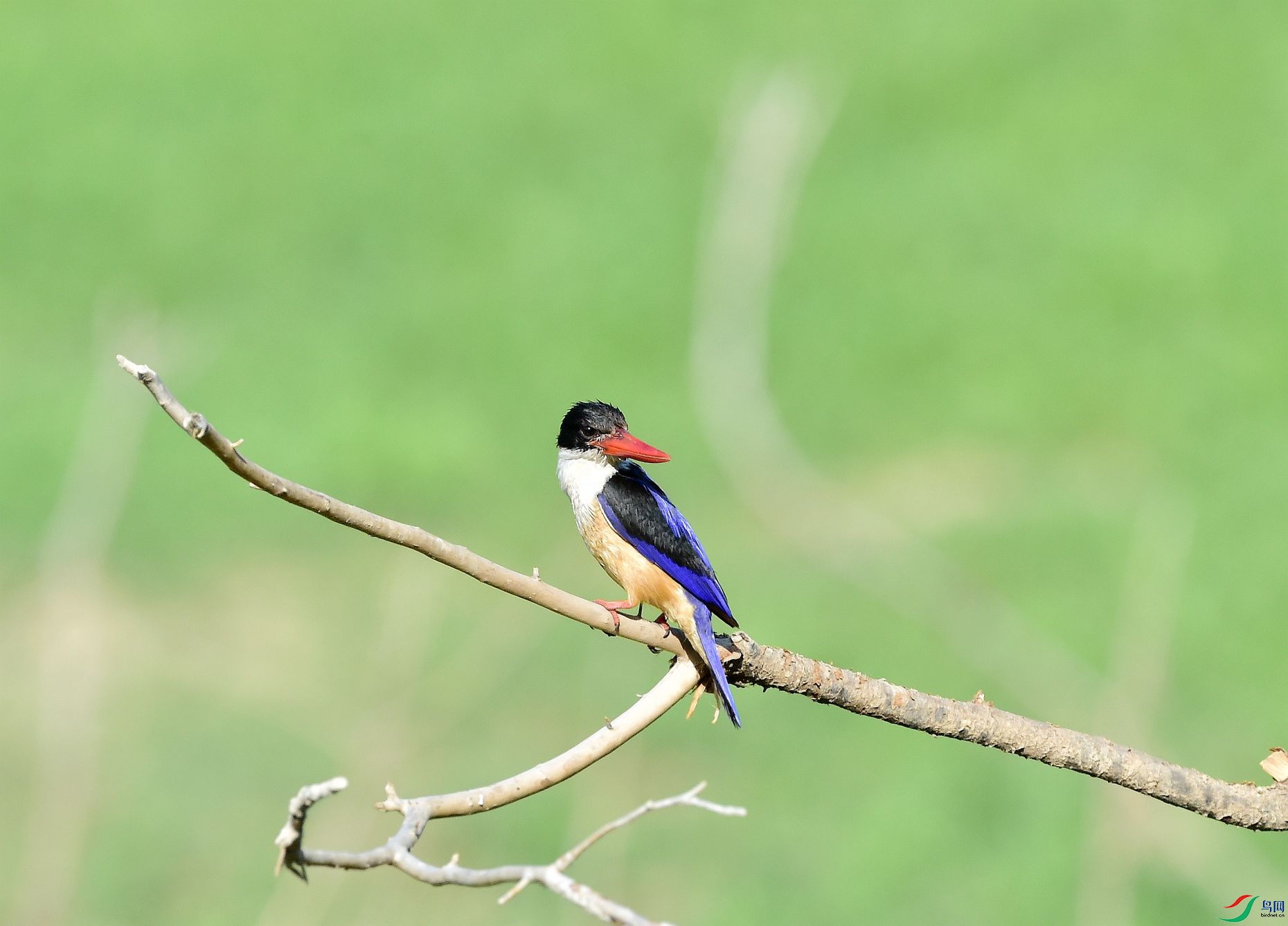 DSC_8661_����.jpg