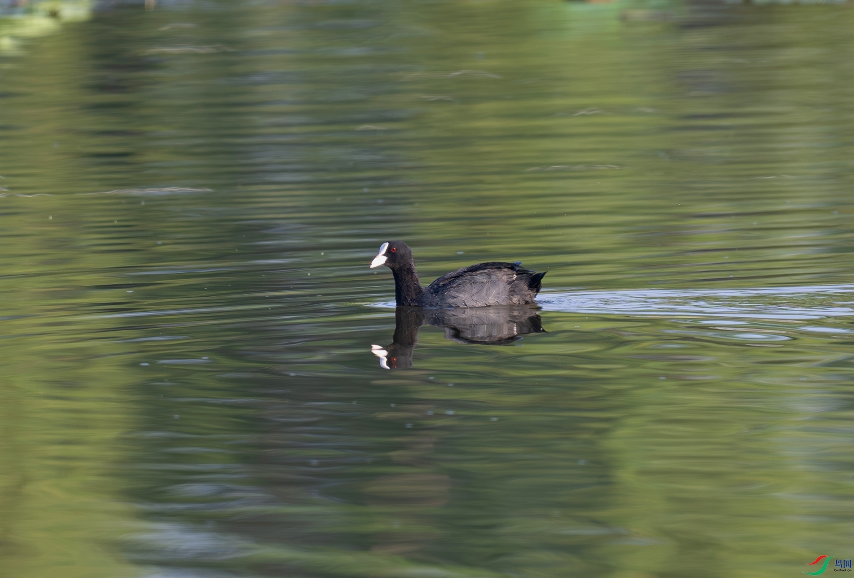 _DSC5315f.jpg