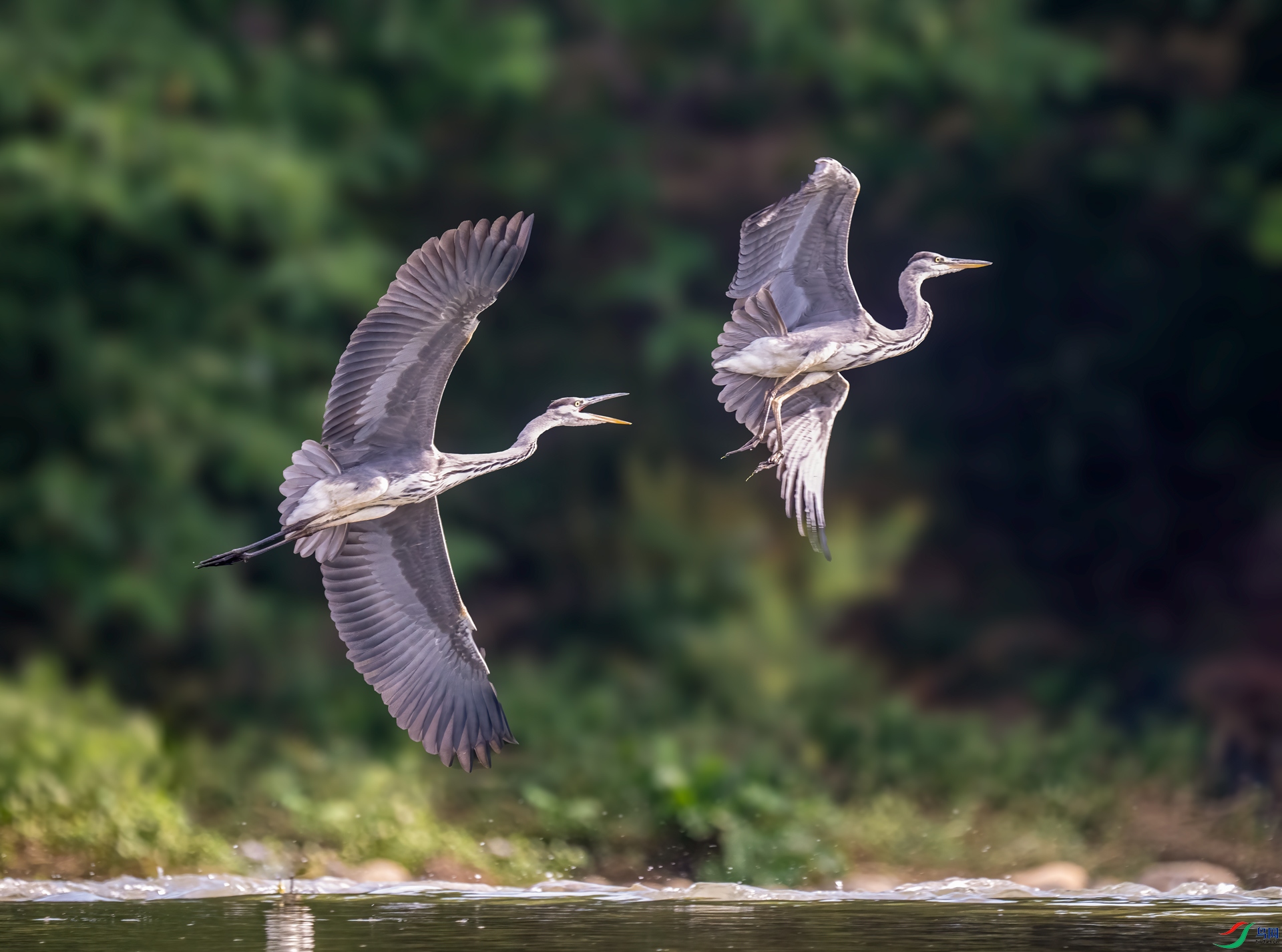 DSC_3620.jpg