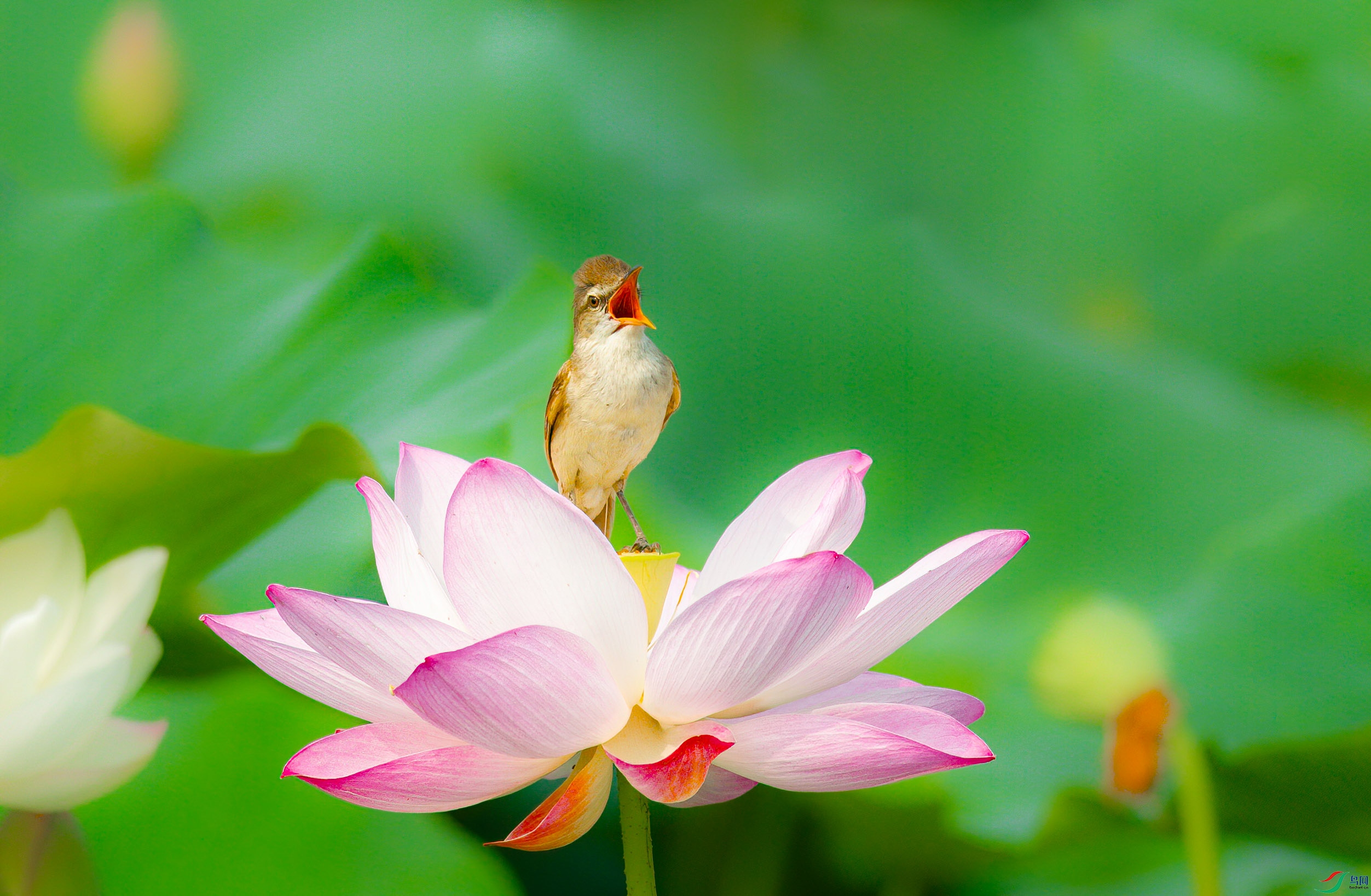 sen2016 7-10-30-�༭-3.jpg