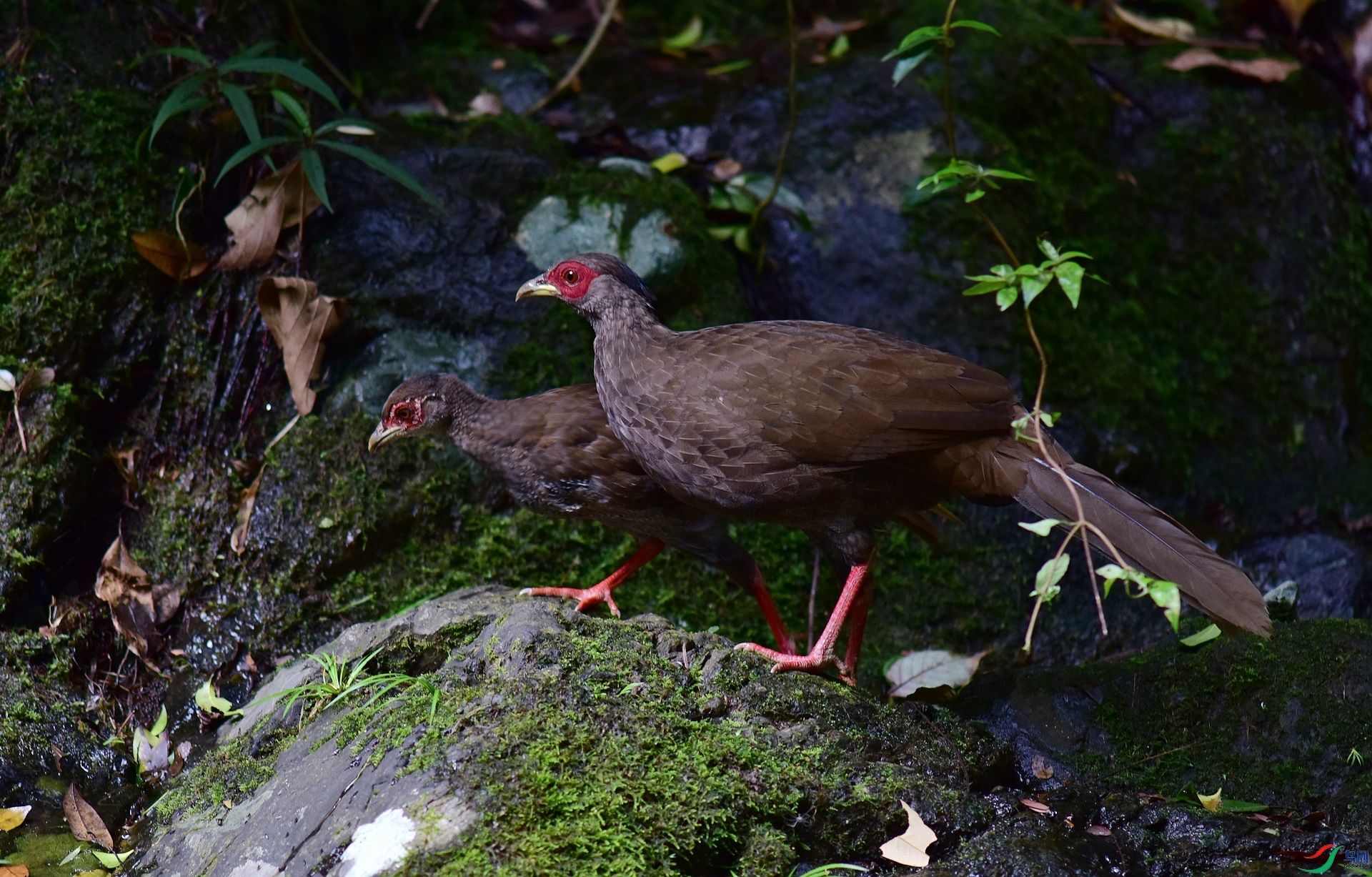 D8I_1600.jpg