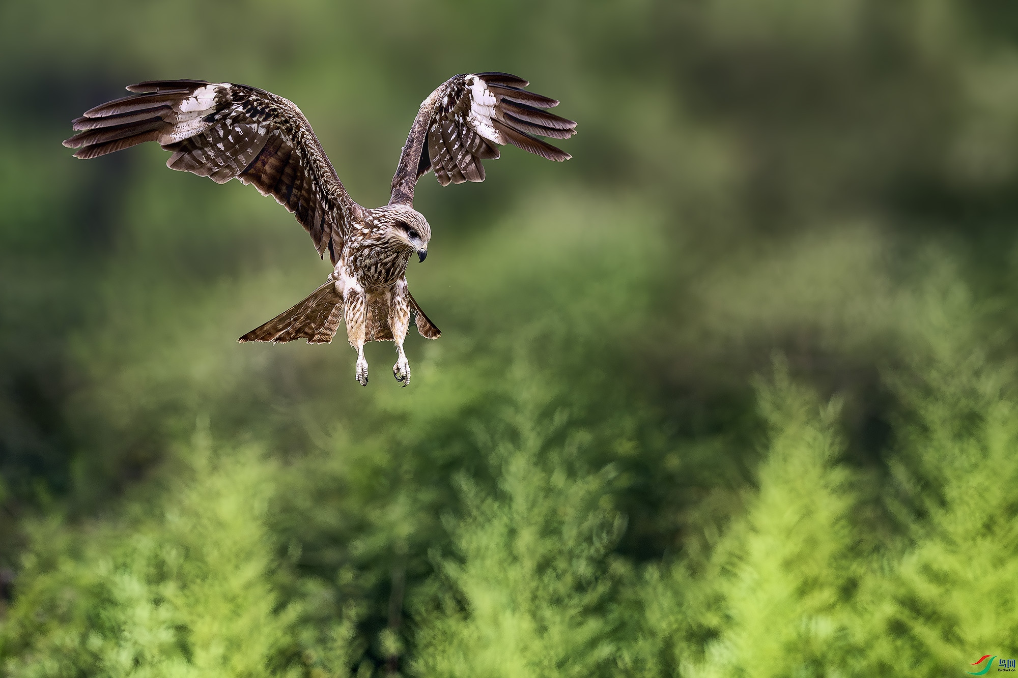 _DSC7178a-����ǿ-NR ����.jpg