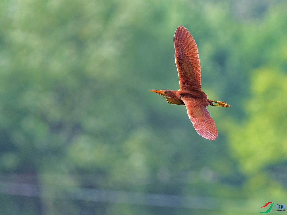 P6240813_DxO - ����.jpg