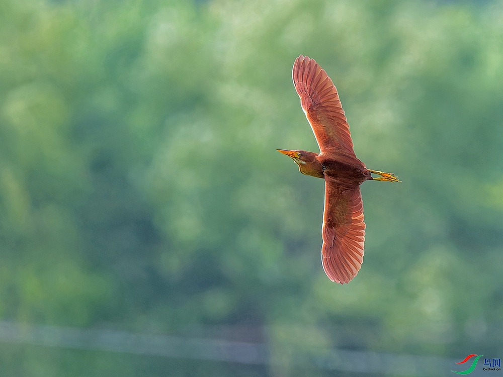 P6240814_DxO - ����.jpg