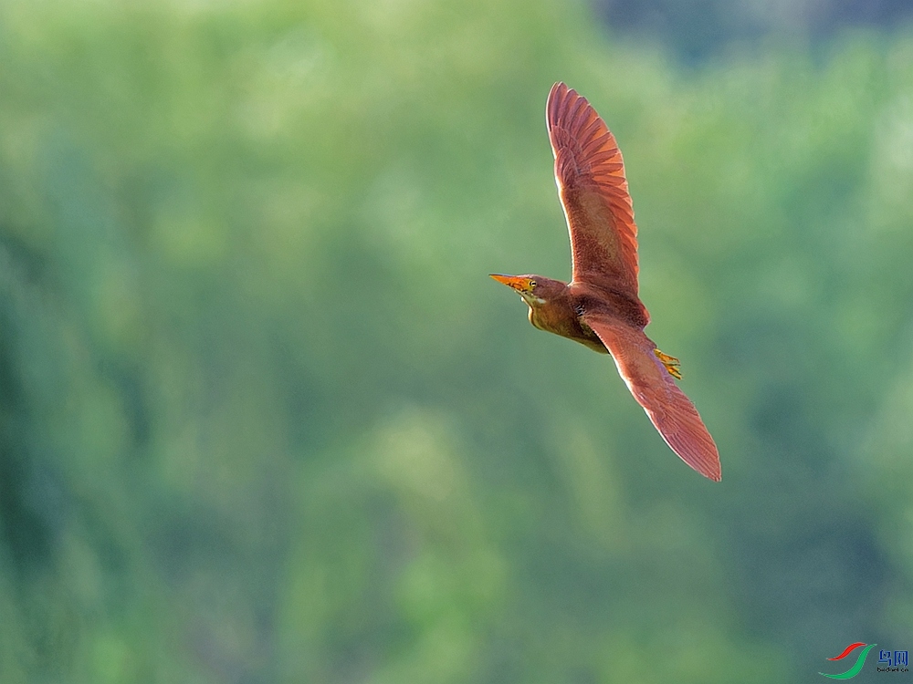 P6240816_DxO - ����.jpg