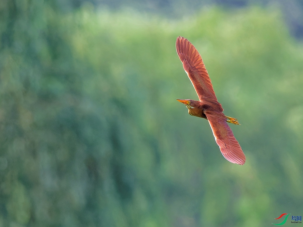 P6240817_DxO - ����.jpg