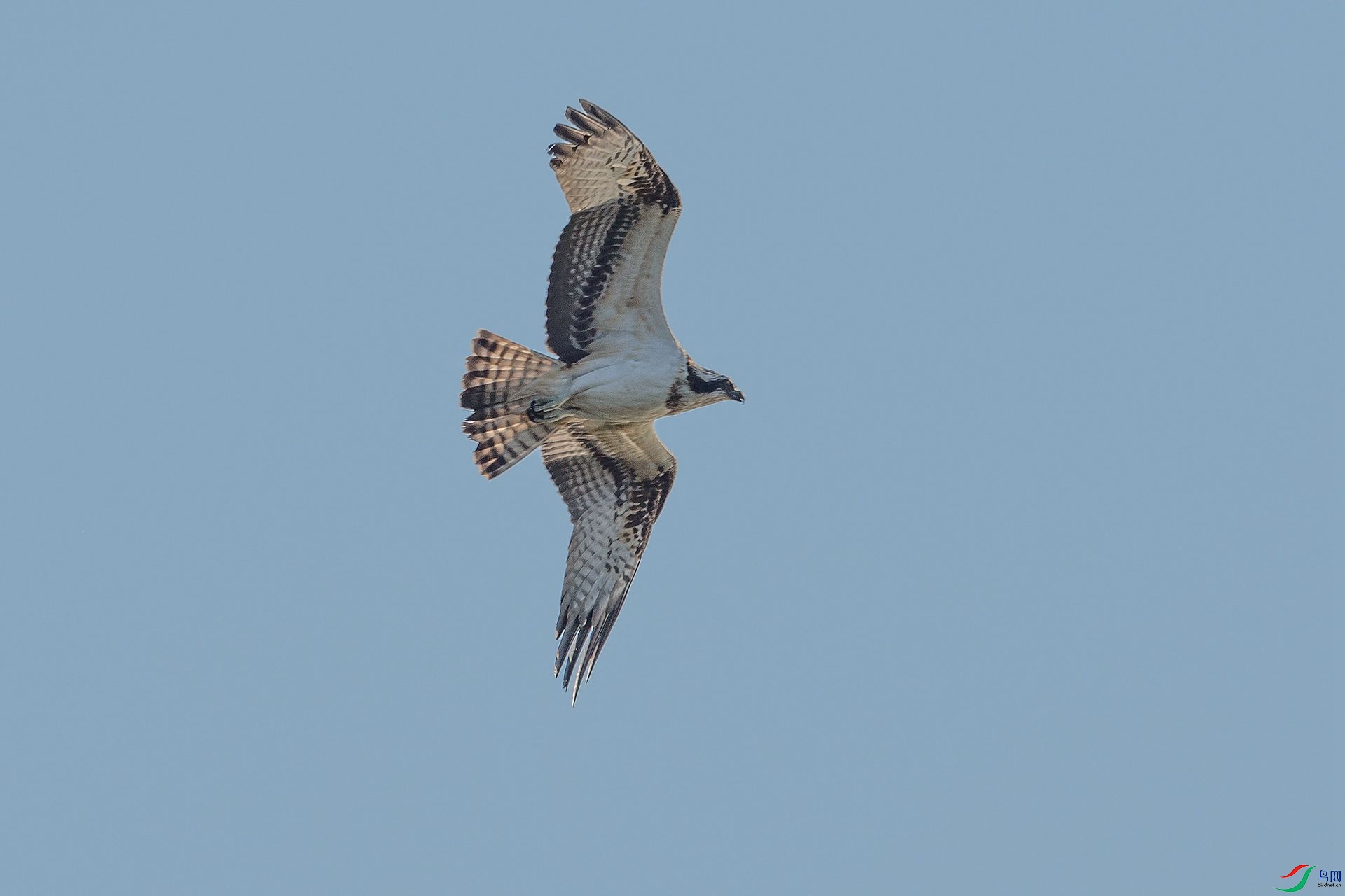 DSC_6427.jpg